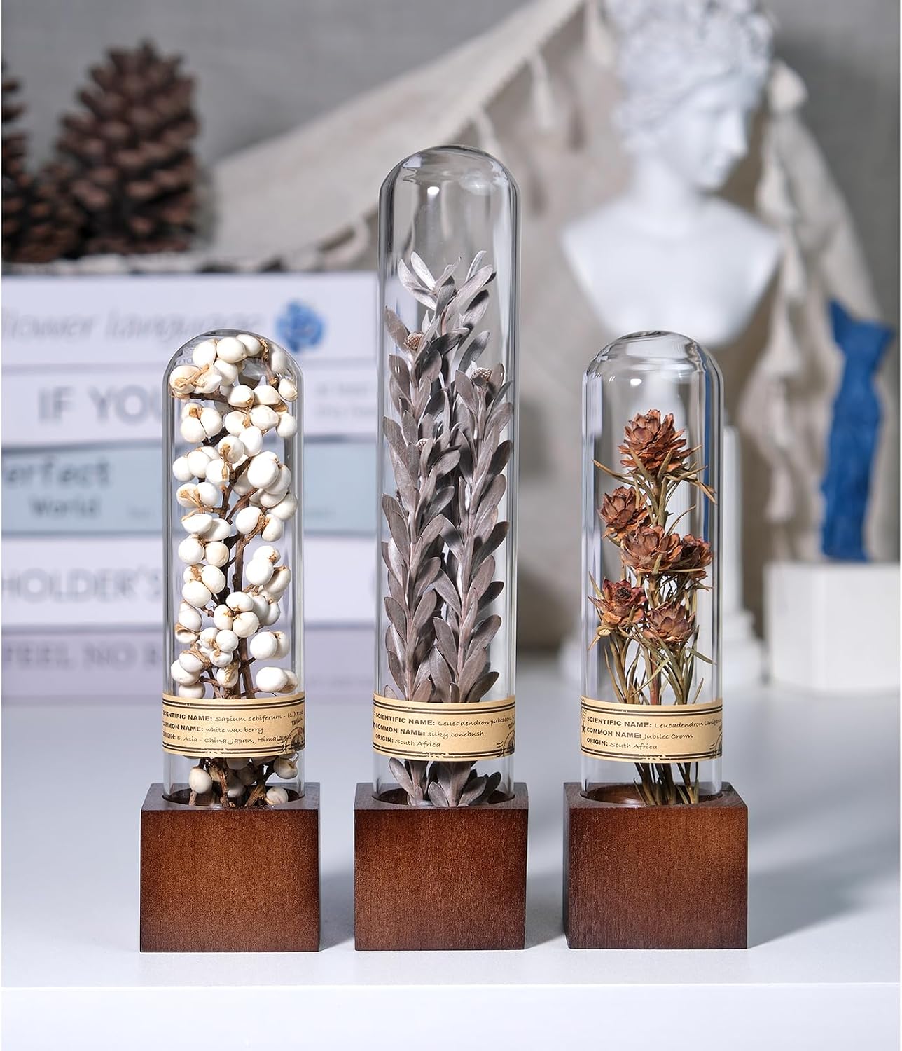 Dried Flower Decor / Minimalist Neutral Trio,3-piece Set / Natural / Set of 3