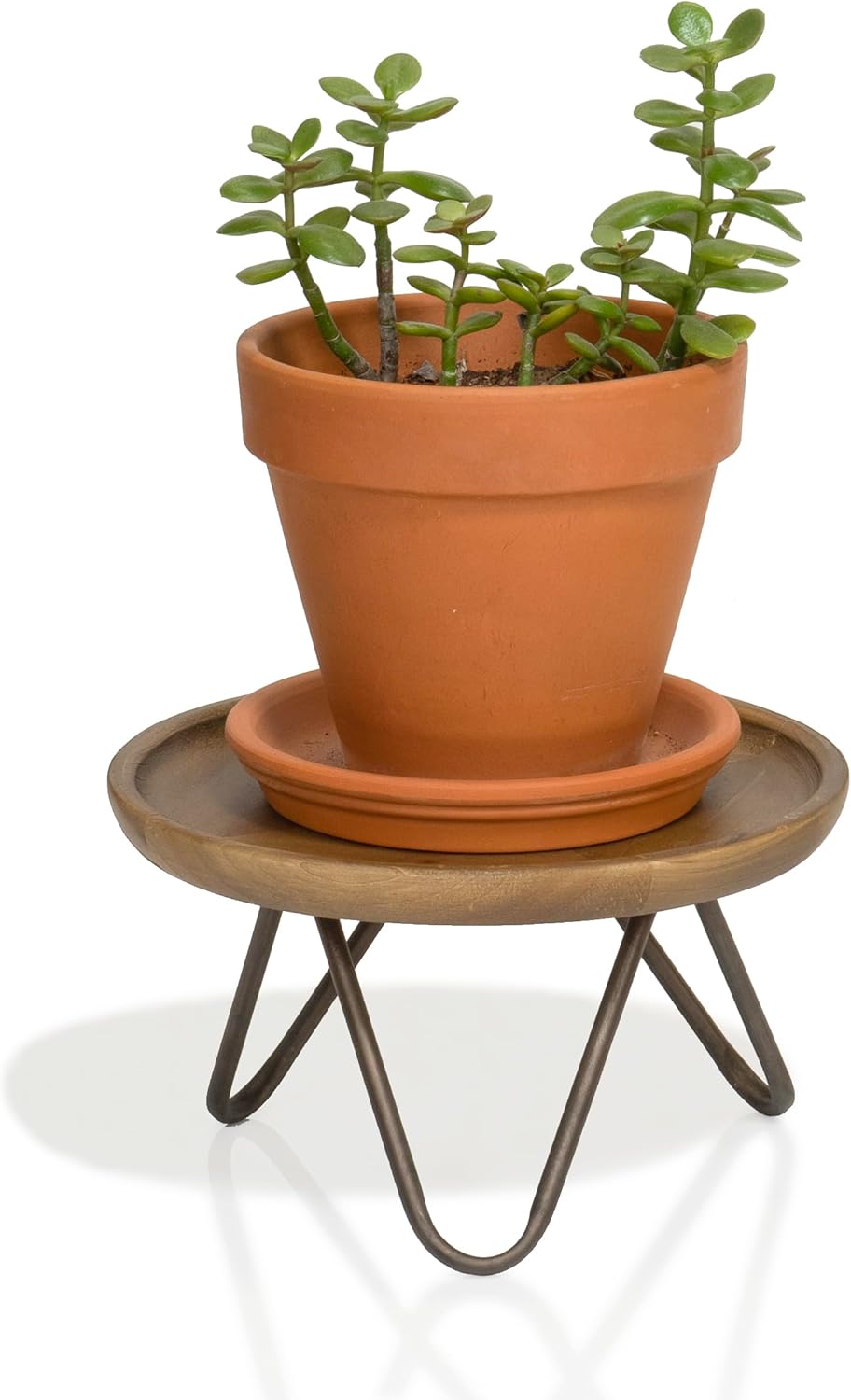 8.75" Dia Round Decorative Wooden Pedestal Plant Stand / Natural