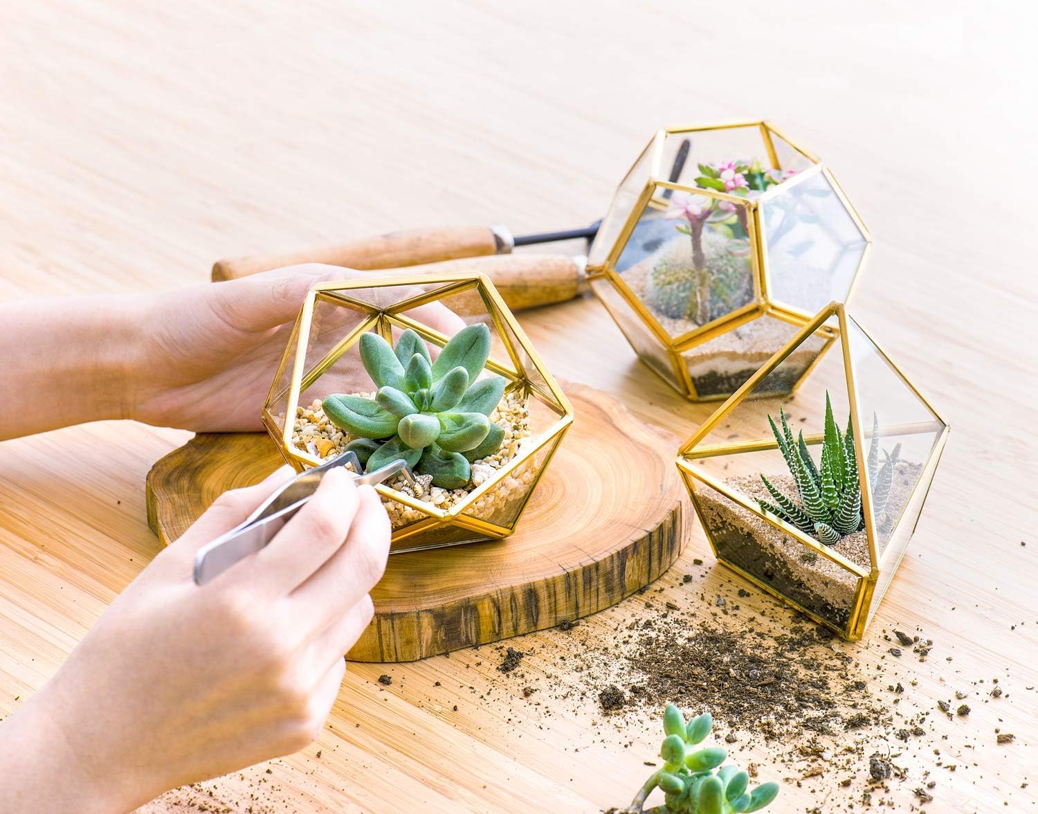 Miniature Potted Faux Plant Bookshelf Desk Boho / Gold,green,clear / Set of 3
