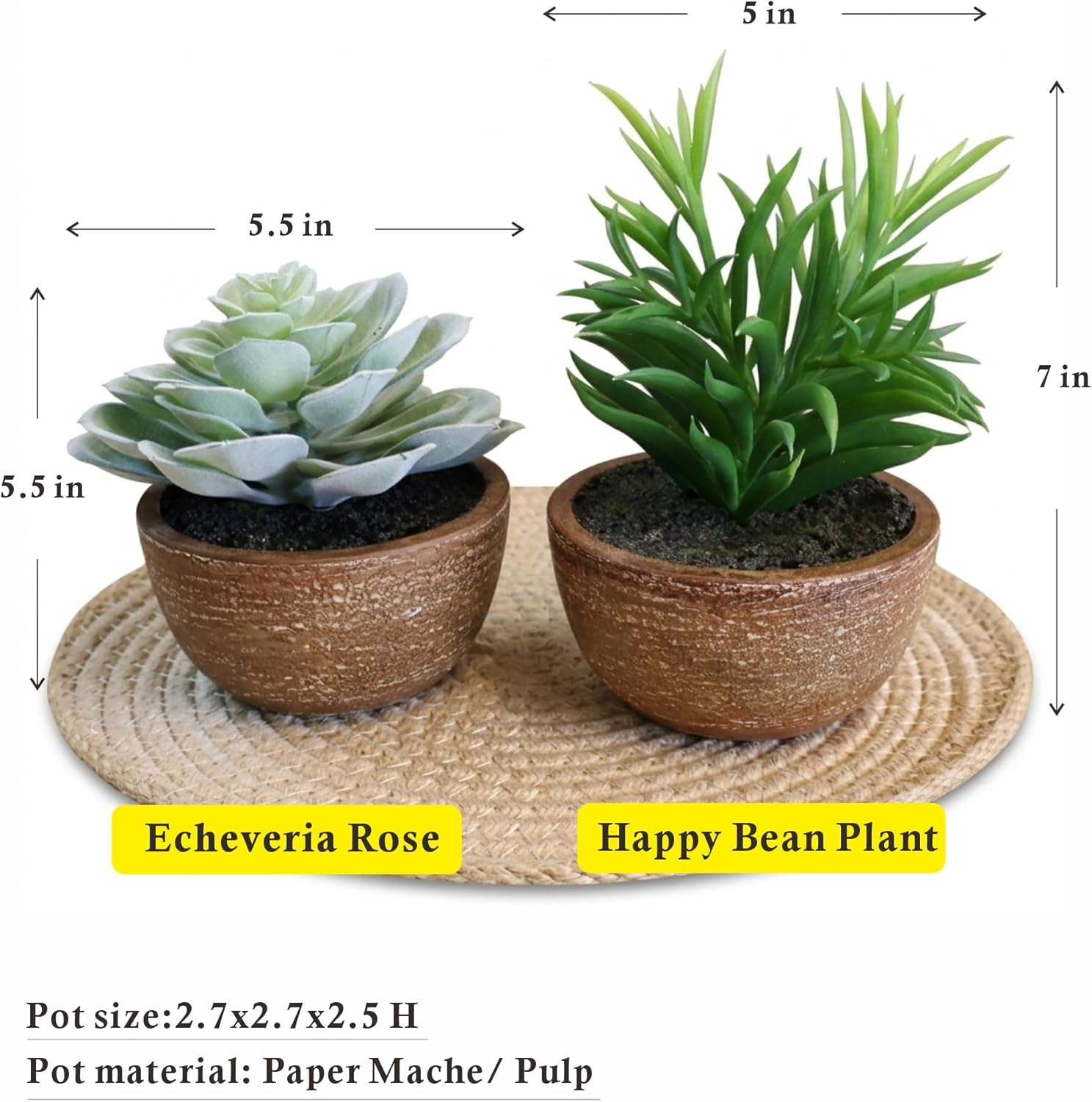 Artificial Succulents Plastic Artificial Plant / Succlents In Pots / Green / Set of 2