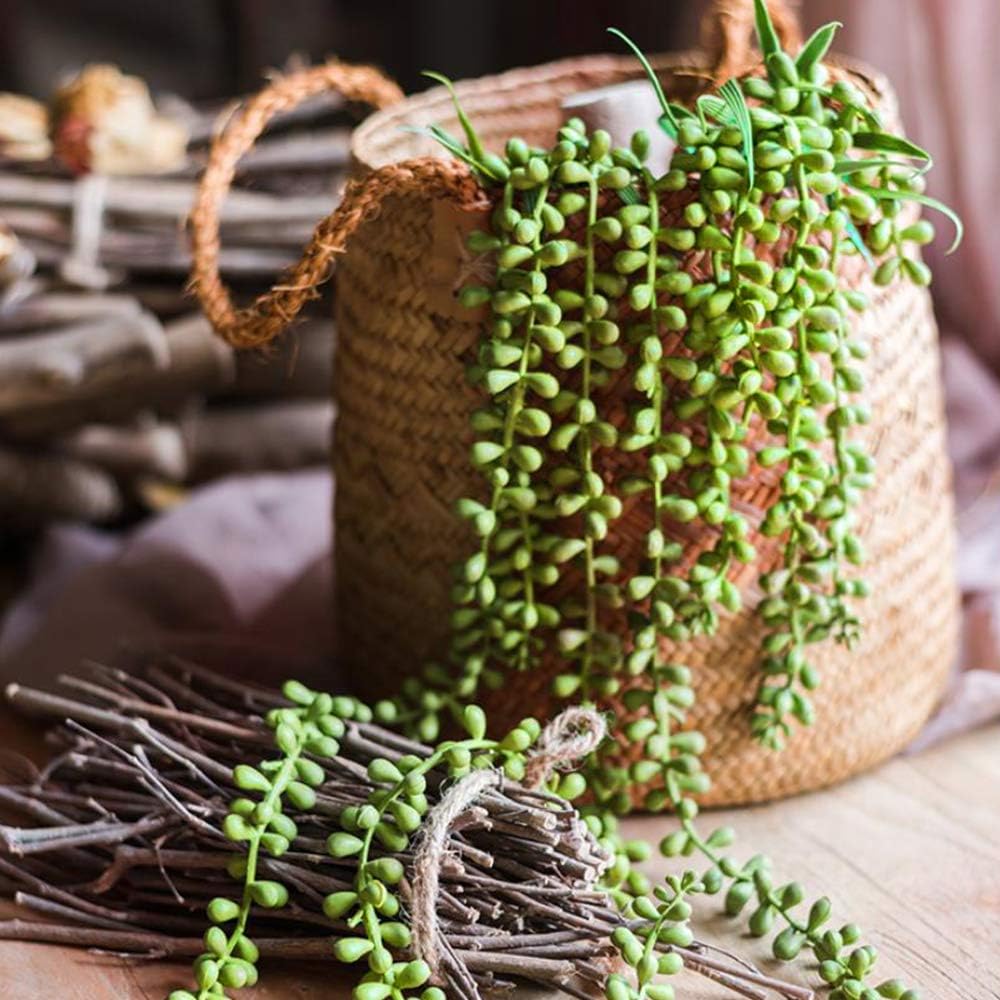 Fake Succulents Plants Artificial Succulents Assorted Faux Succulents in Bulk Artificial / Set of 14