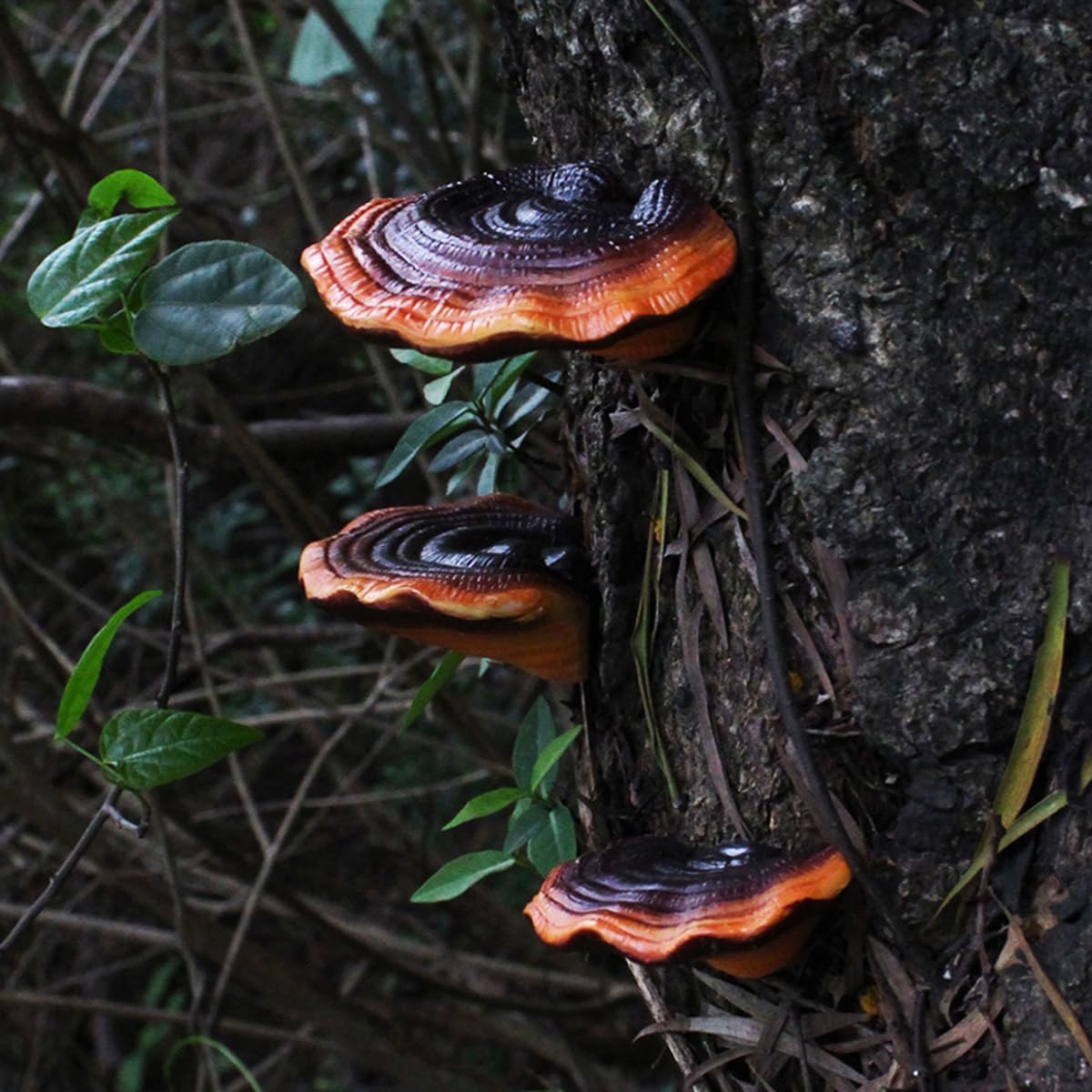 Garden Mushroom Statue Tree Hugger / Brown / Set of 5
