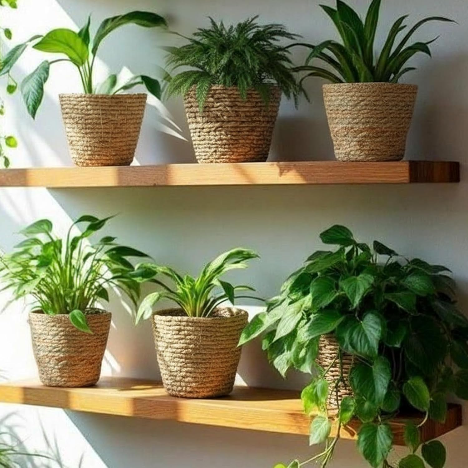 Wicker Plant Basket Bulk / Small / Rustic / Set of 24