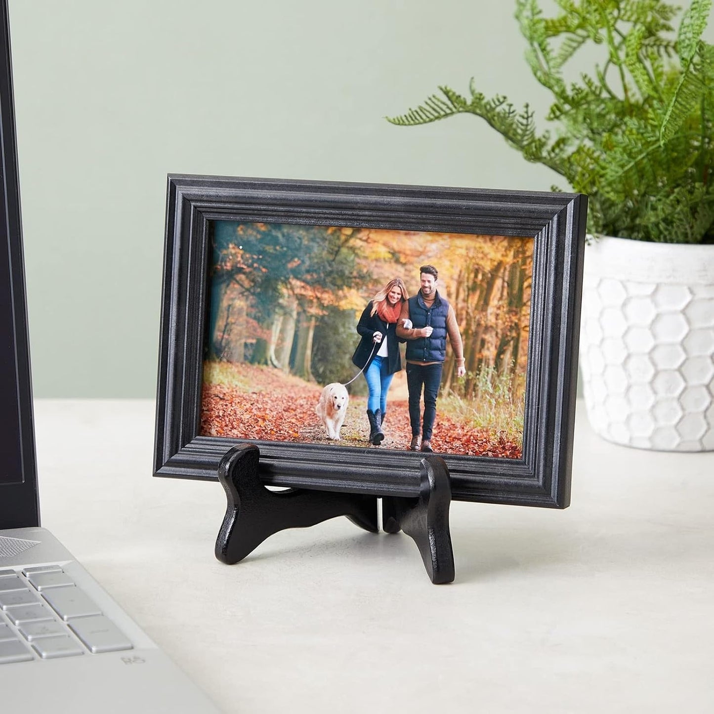 Wooden Plate Stands for Display