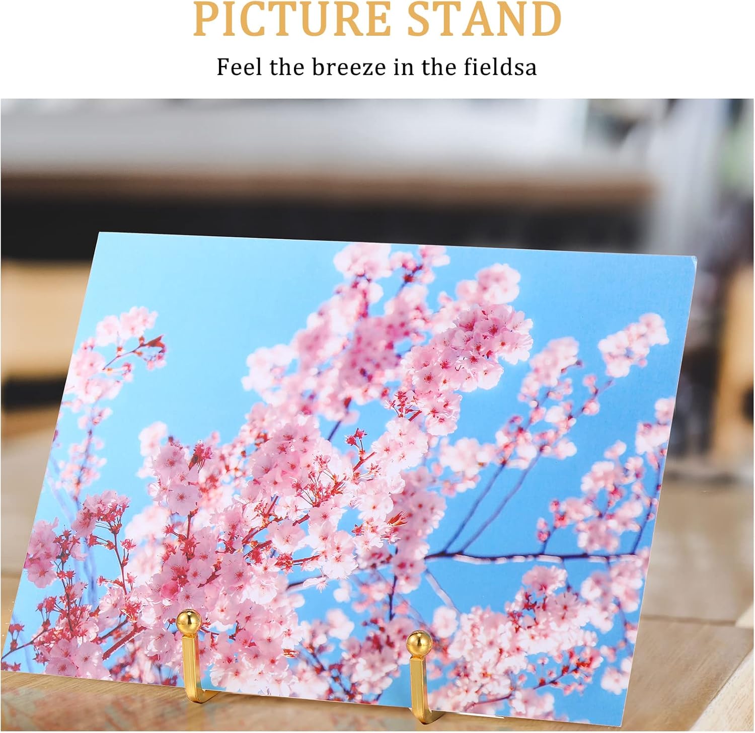 Plate Holder Easel Display Stand Metal Book Display Stand Tabletop / 3 Inch / Gold / Set of 12