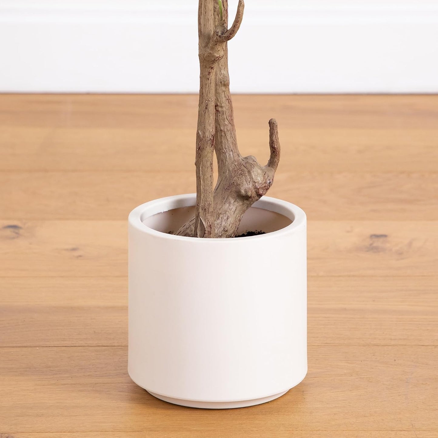 Minimalist Faux Olive Plant / 7 Inch