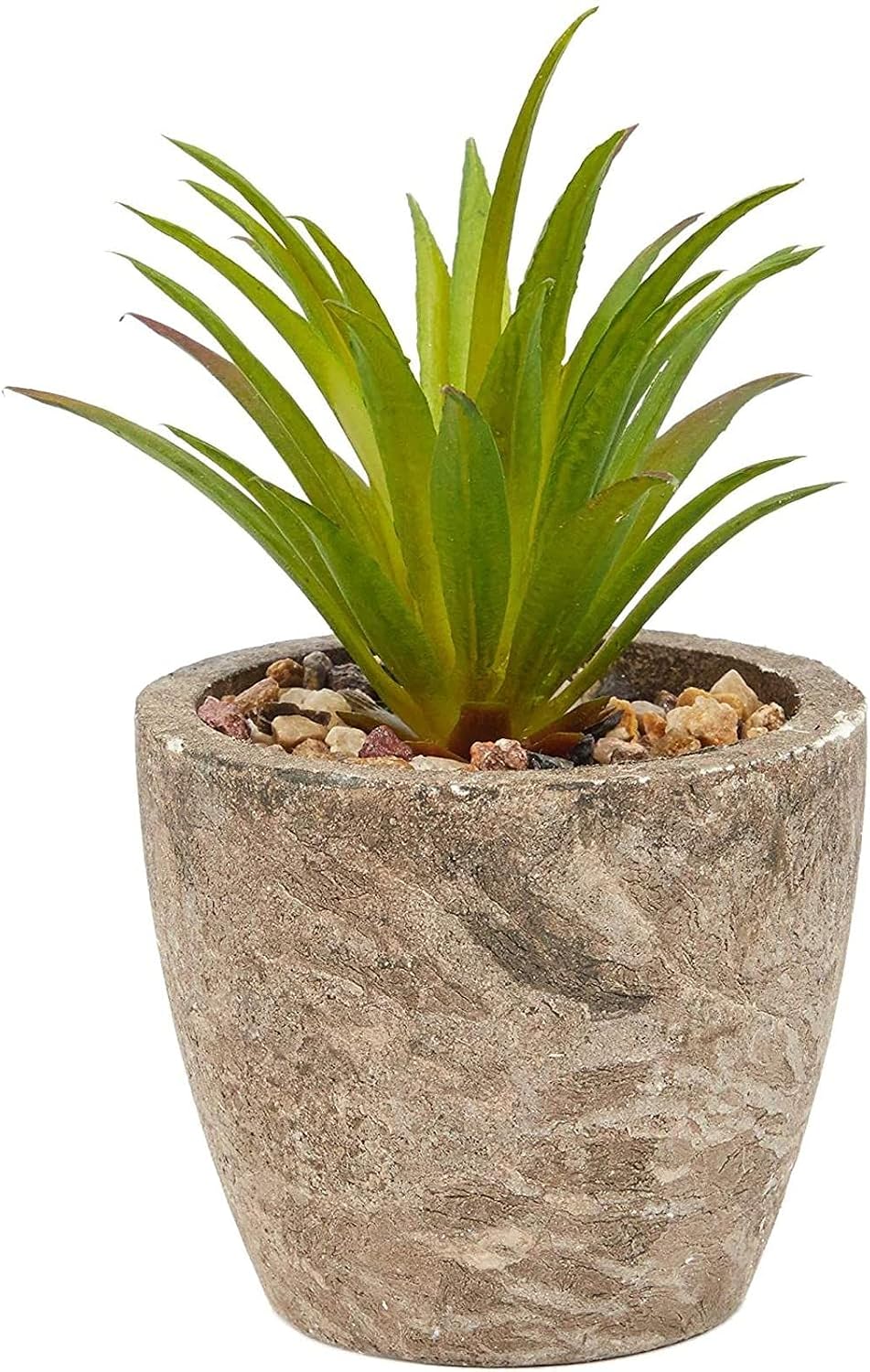 Maintenance-Free Artificial Plants
