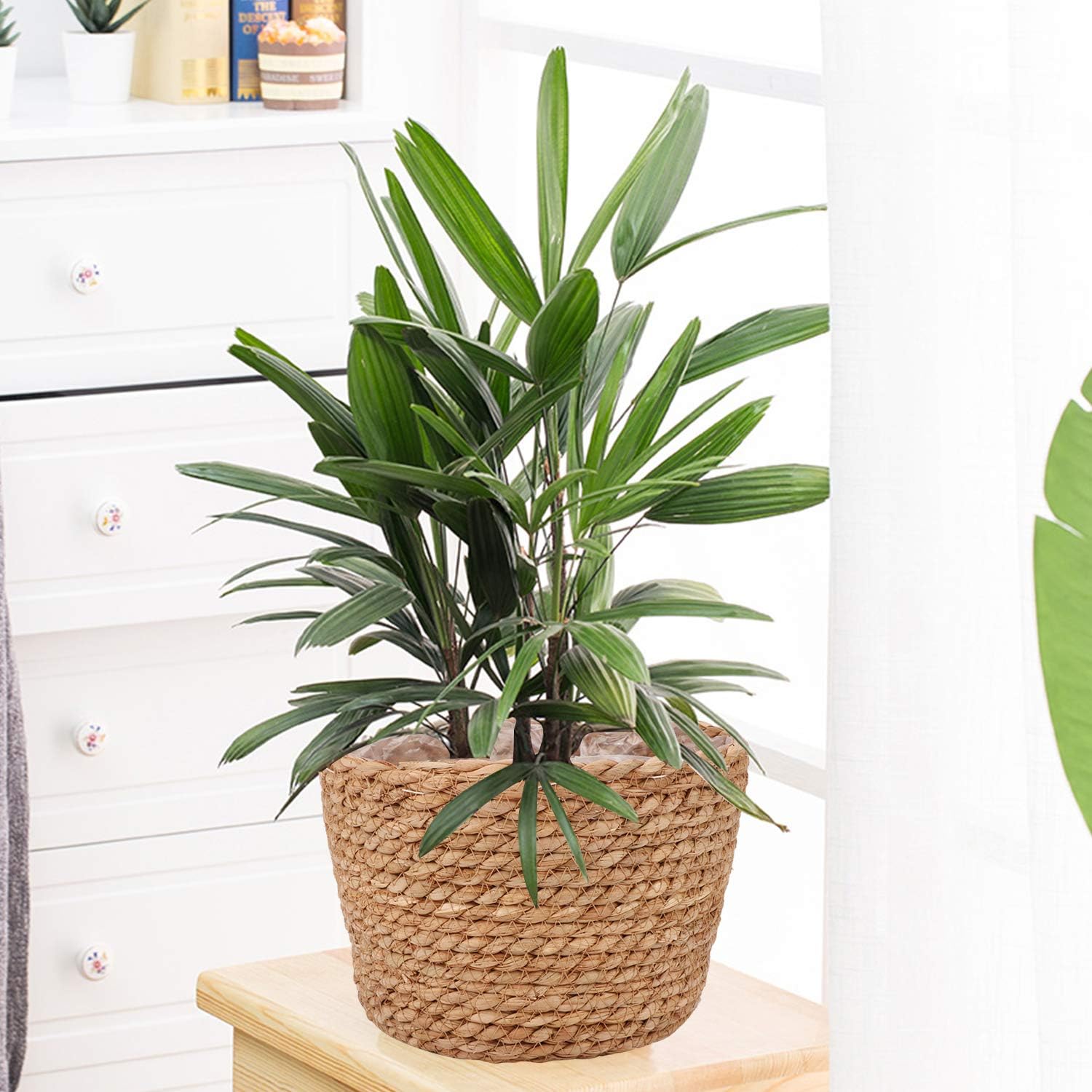Seagrass Planter Basket Stylish Planter Baskets