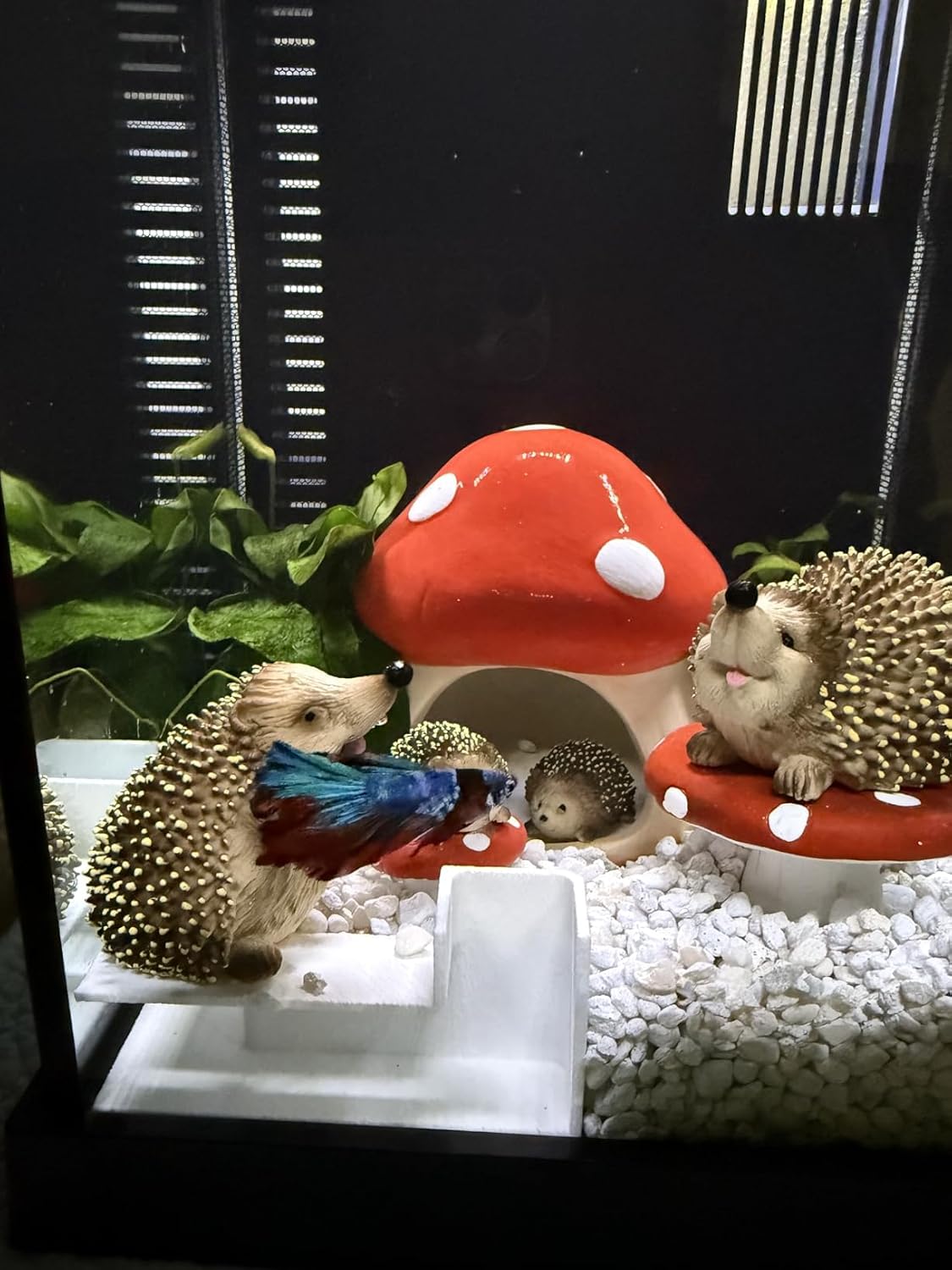 Ceramic Fish Tank Decor / Red