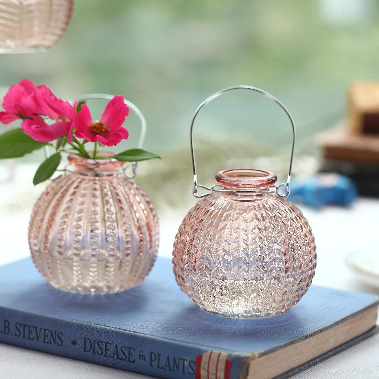 Single Glass Bud Vase Pink Vases for Centerpieces Decor Glass Flower Vase Bottle / Pink-ball Bottle