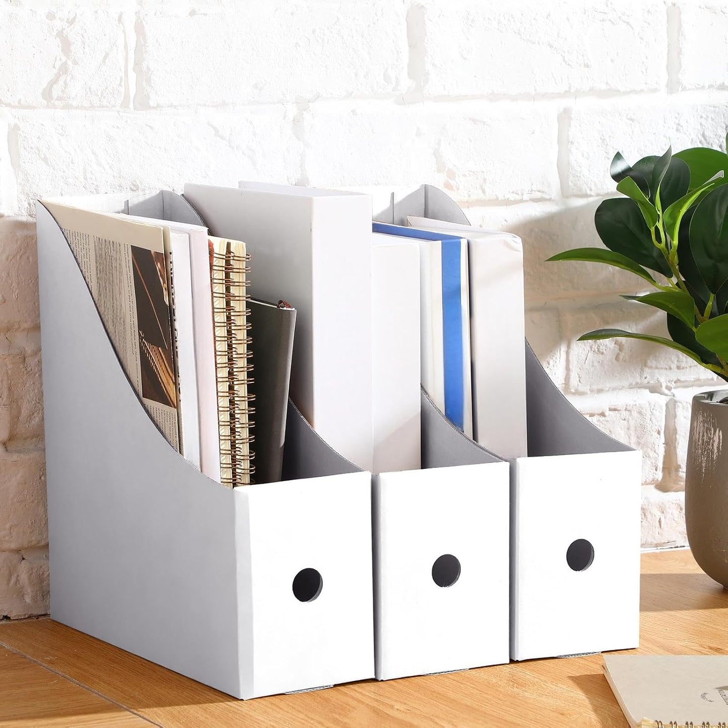 Thenshop 24 Pcs Magazine Files Cardboard Holders,Classic,White | File Organizer Foldable Paper Storage for Desk
