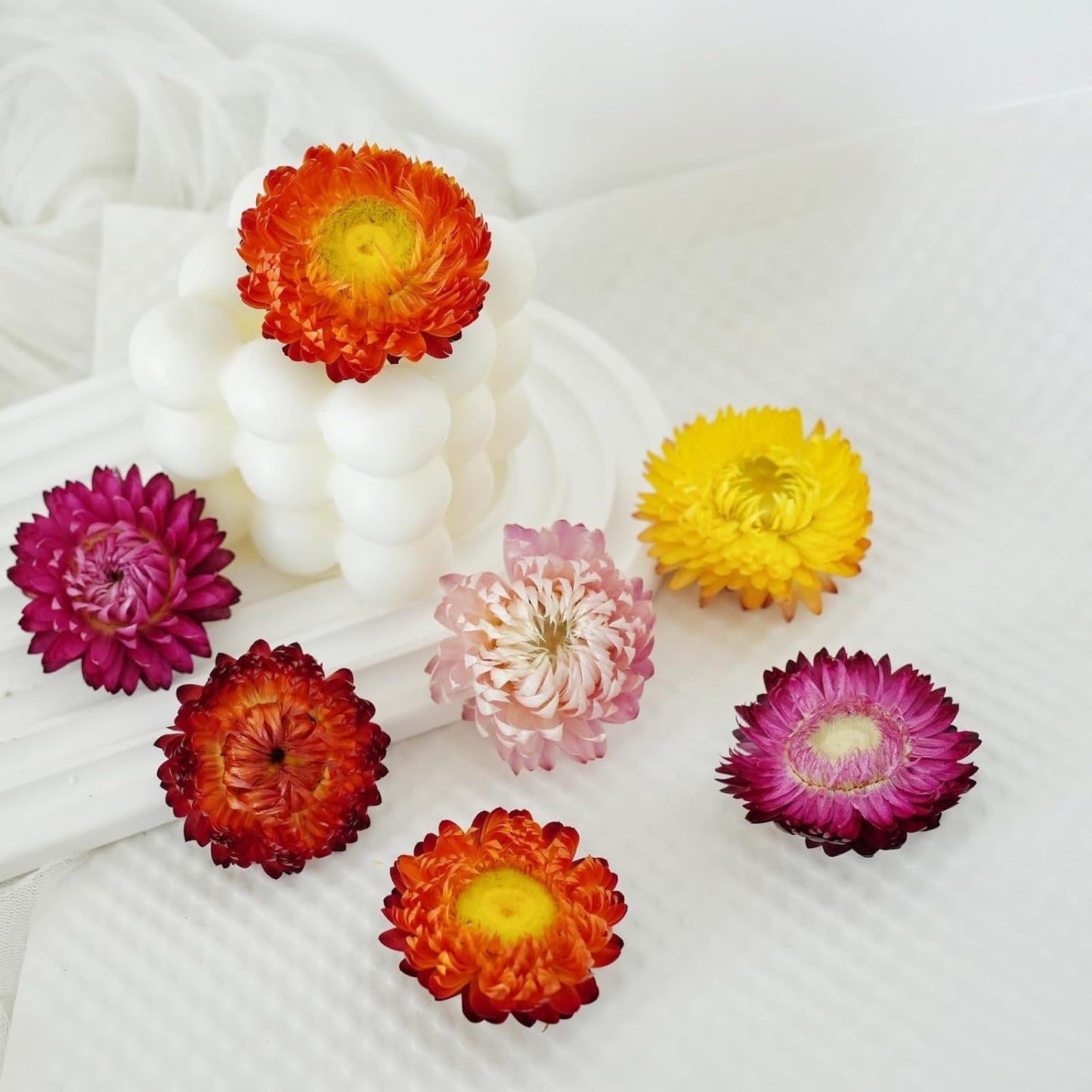 Dry Flower Arrangements / Natural / Set of 40