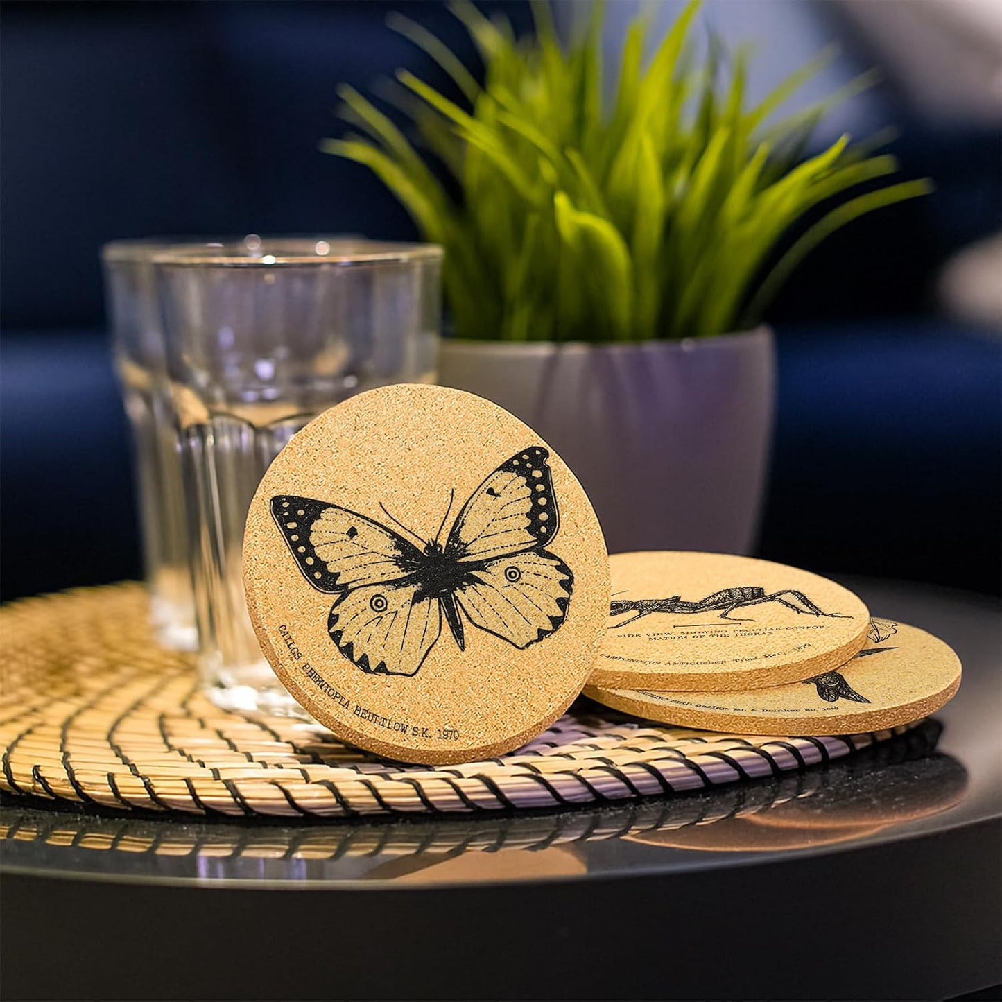Holder / Coasters for Drinks / Insects / Set of 6