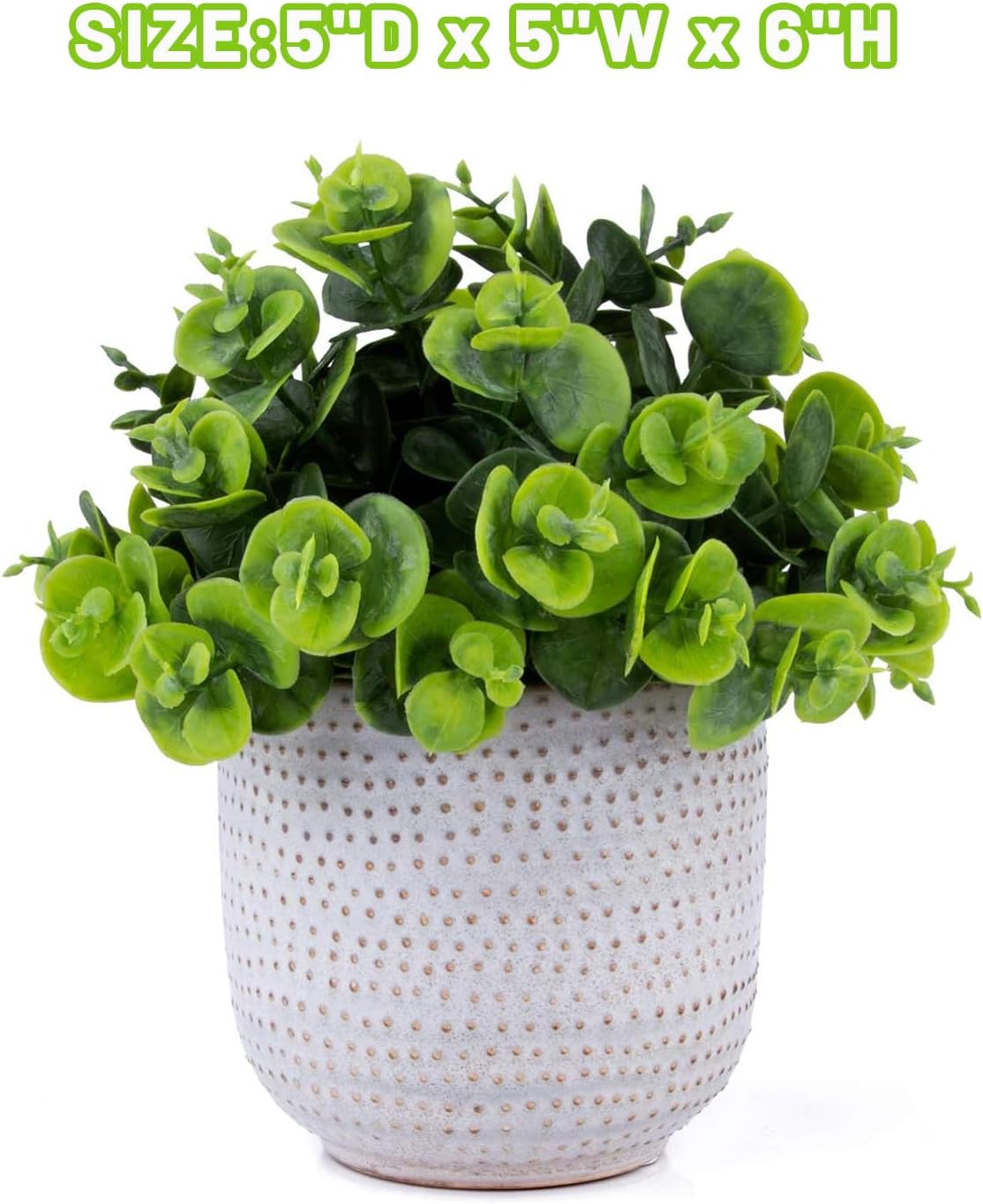 Artificial Plants in Ceramic Planter Lysimachia Fake Succulent Flowers Potted / Green