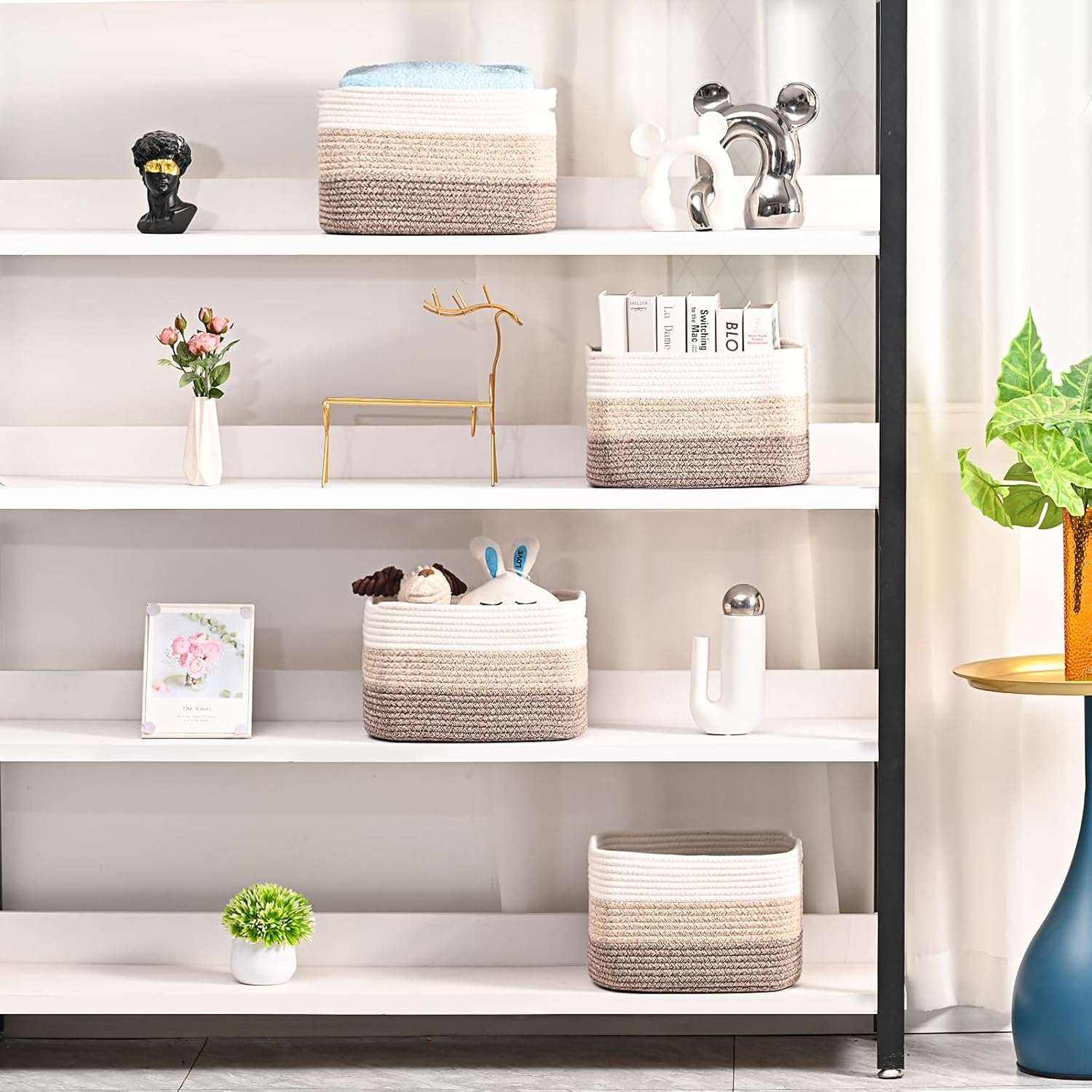 Woven Baskets for Storage / Gradient Brown