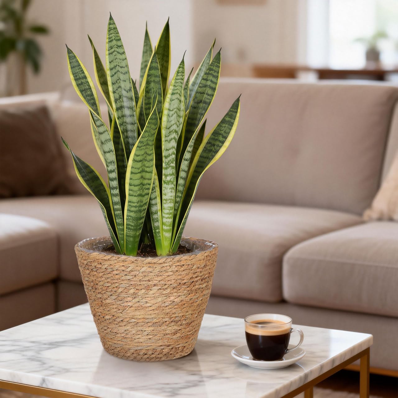 Woven Plant Baskets / Set of 2