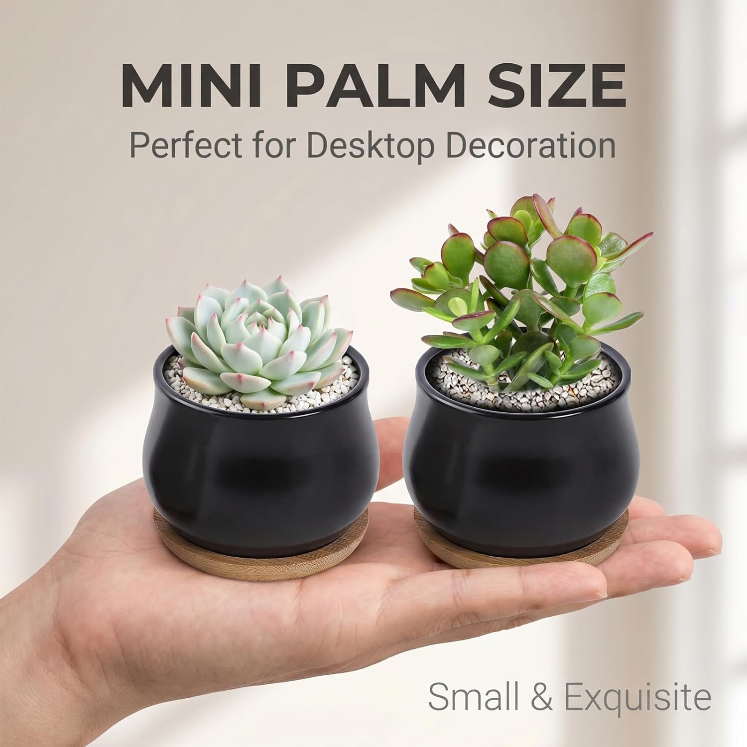 Matte Mini Ceramic Flower Planter Pot / Black / 2.6 Inch / Set of 8