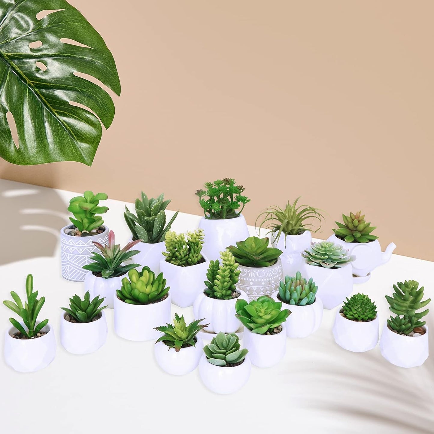 Assorted Artificial Succulents Plants Unpotted Small Cactus Echeveria Air Plant / Green / Set of 20