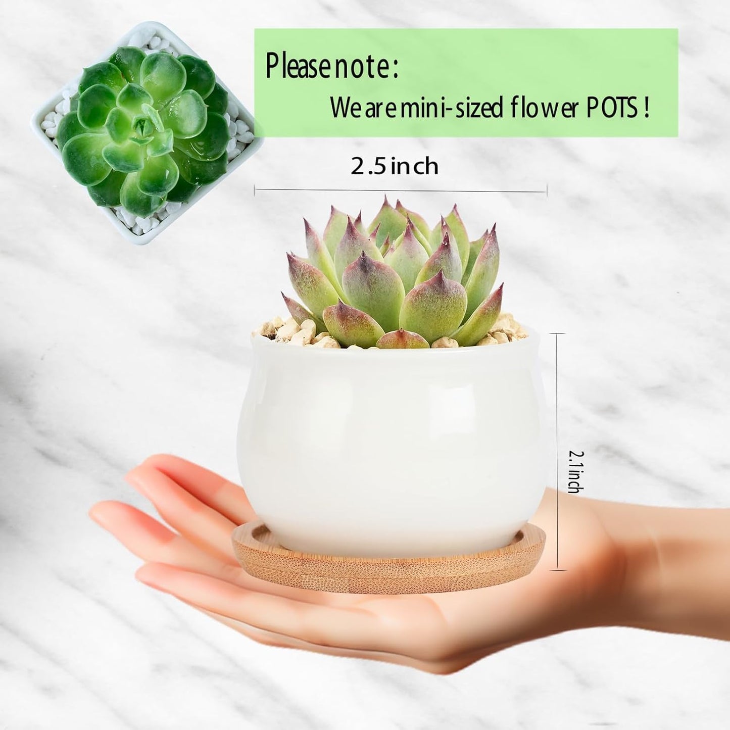 Mini Ceramic Flower Planter Pot / White / 2.6 Inch / Set of 8