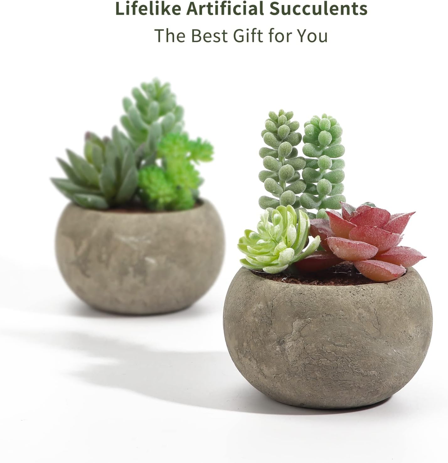 Succulents Plants Artificial / Type2 / Set of 4