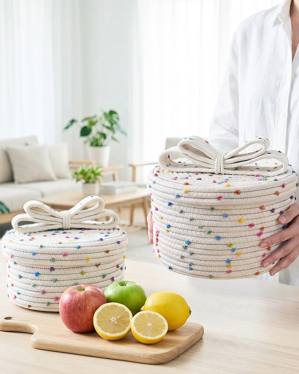 Small Woven Storage Baskets / Rainbow / S+L