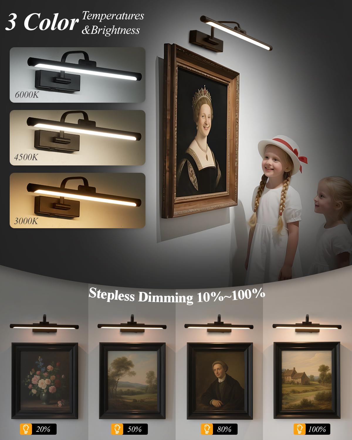Picture Lights for Wall Battery Operated, Rechargeable Light for Picture with Remote & Timer, Black Art Light for