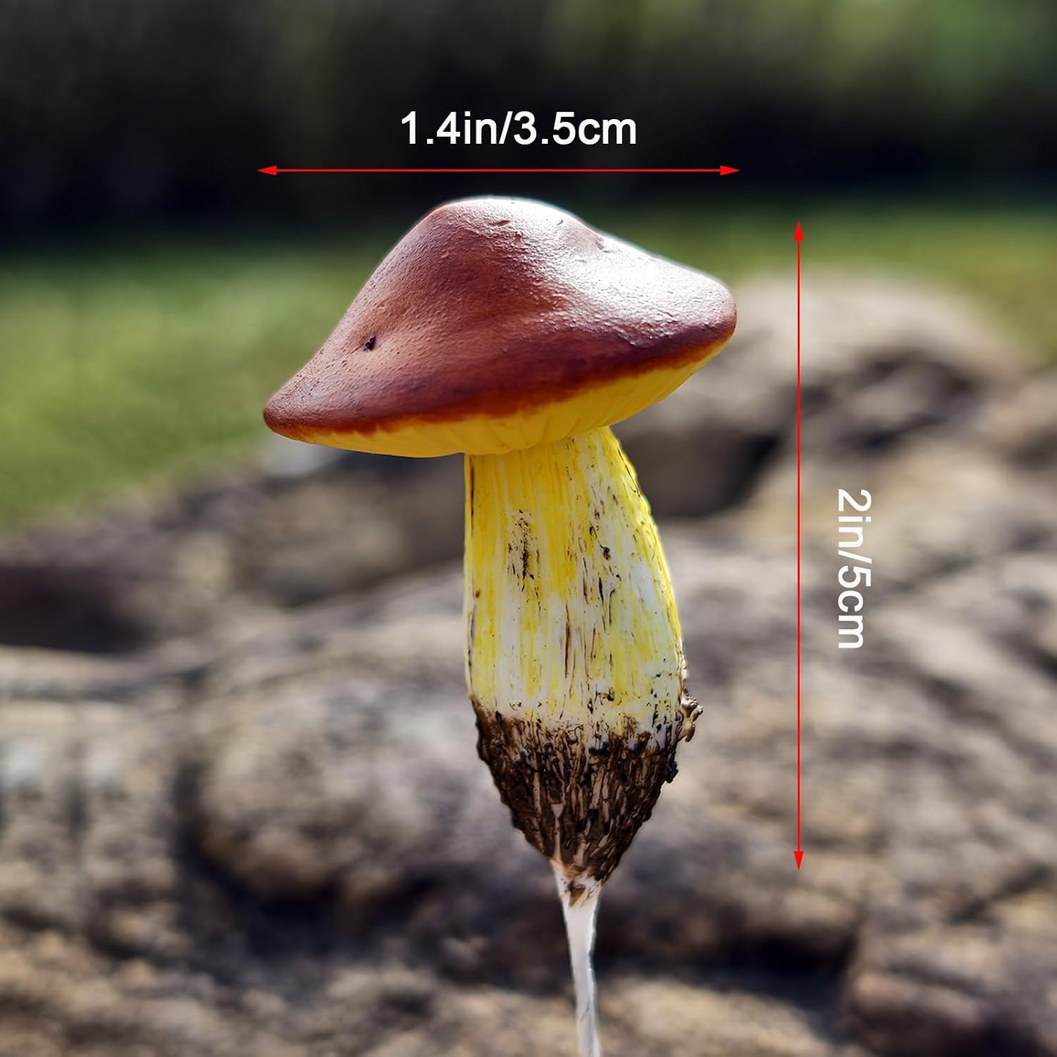 DIY Mini Mushrooms for Terrariums Potted Plant Holiday / Set of 5
