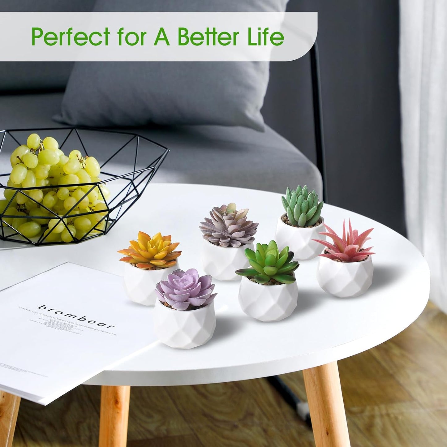 Fake Succulent Plant Set Artificial Succulent Plants for Desk Realistic Faux / Mix / Set of 6