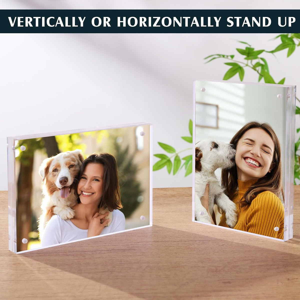 6 Pcs 5 x 7 Inch Acrylic Picture Frames, Clear Acrylic Photo Business Card Frame Desktop Display Double Sided Wallet