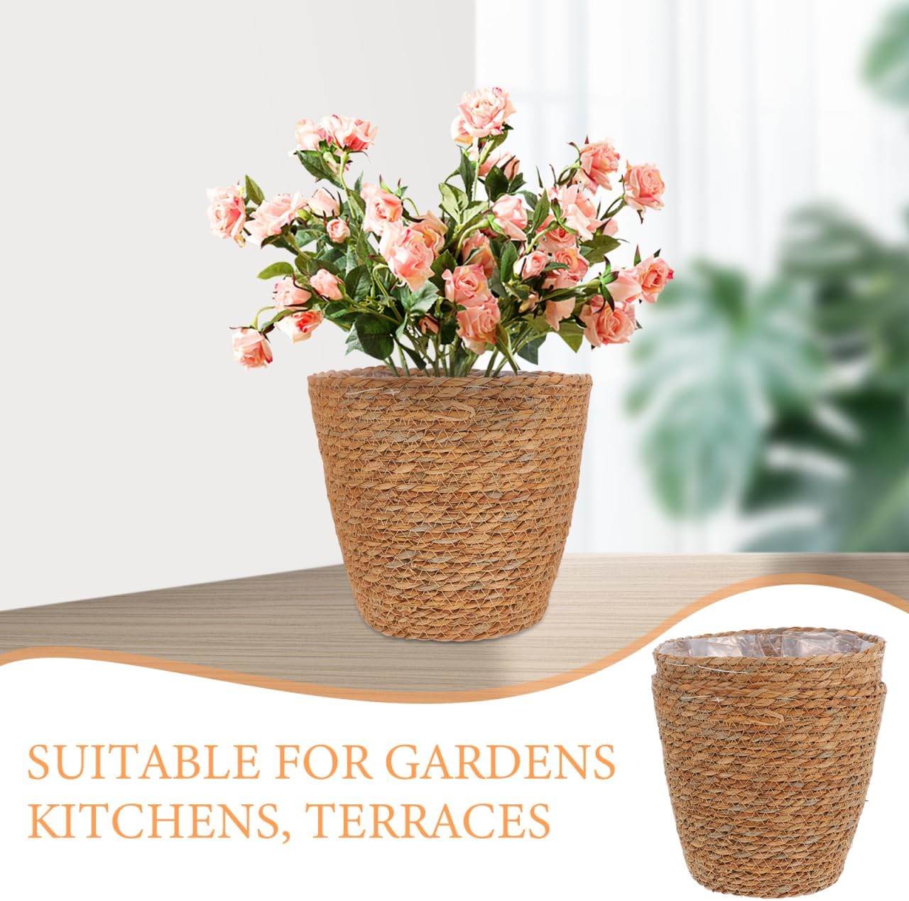 Woven Plant Basket / Set of 2