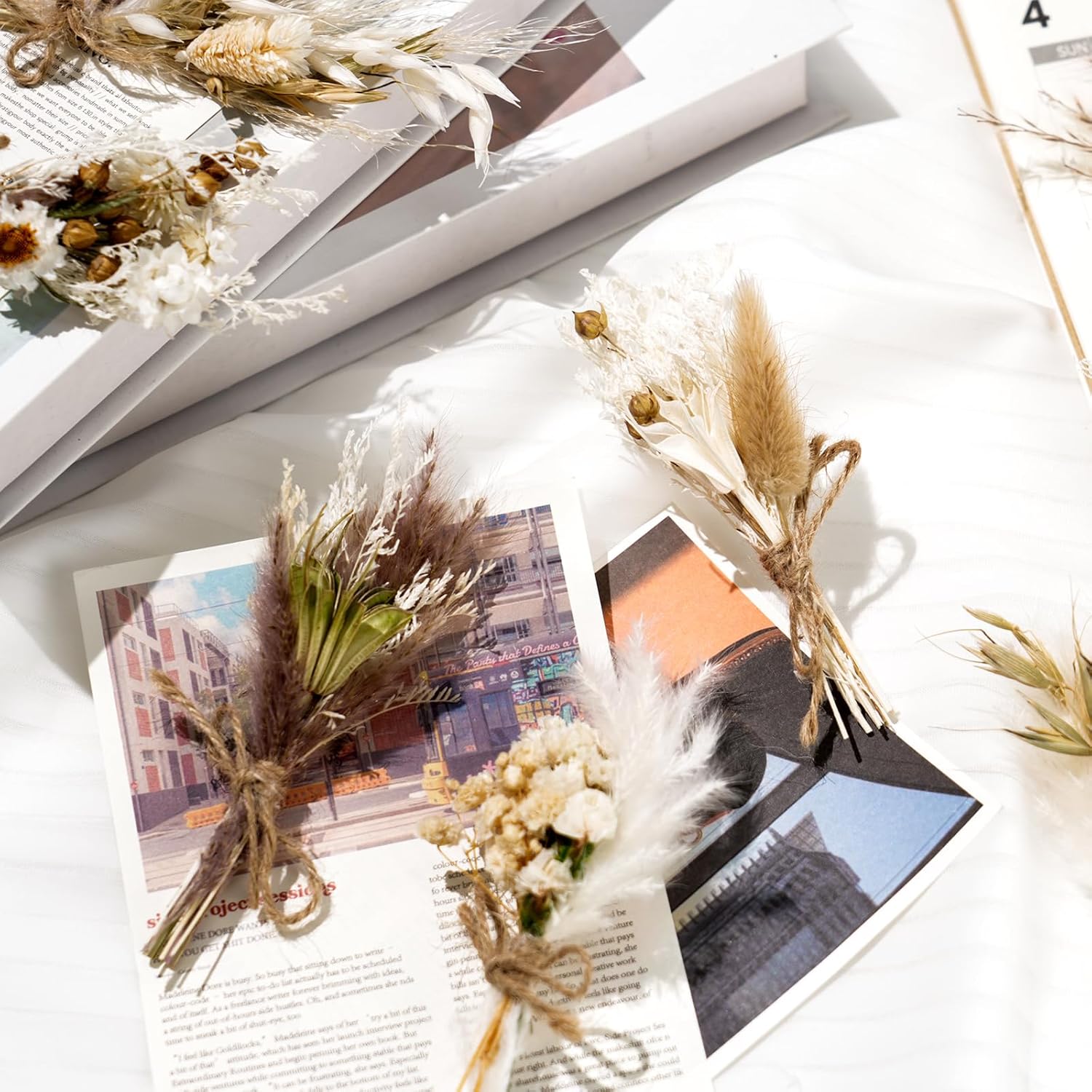 Dried Flower Bouquet Mini Pampas Grass for Crafts Small Dried / Boho Style / Natural / Set of 12