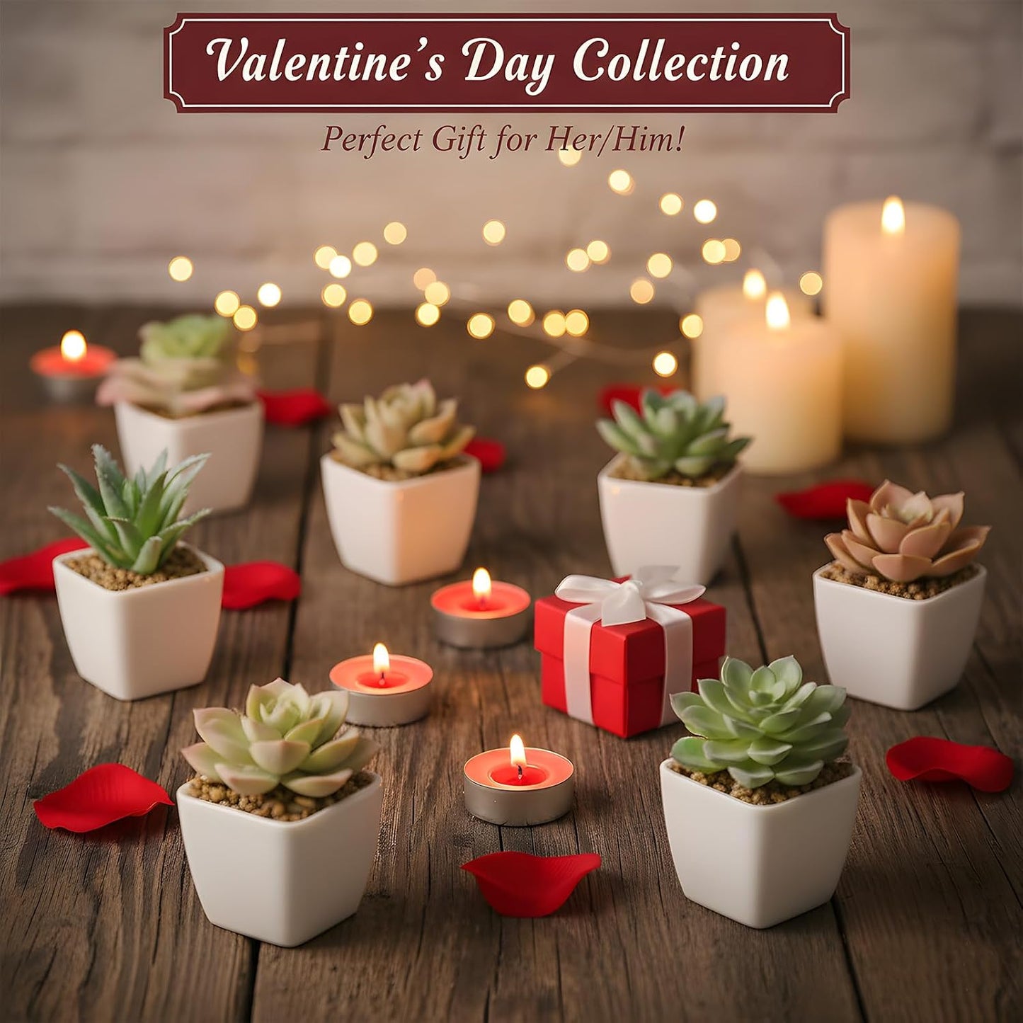 Artificial Faux Succulents in Pots Fake Plants Plastic Arrangement Planter / White-24 / Set of 24