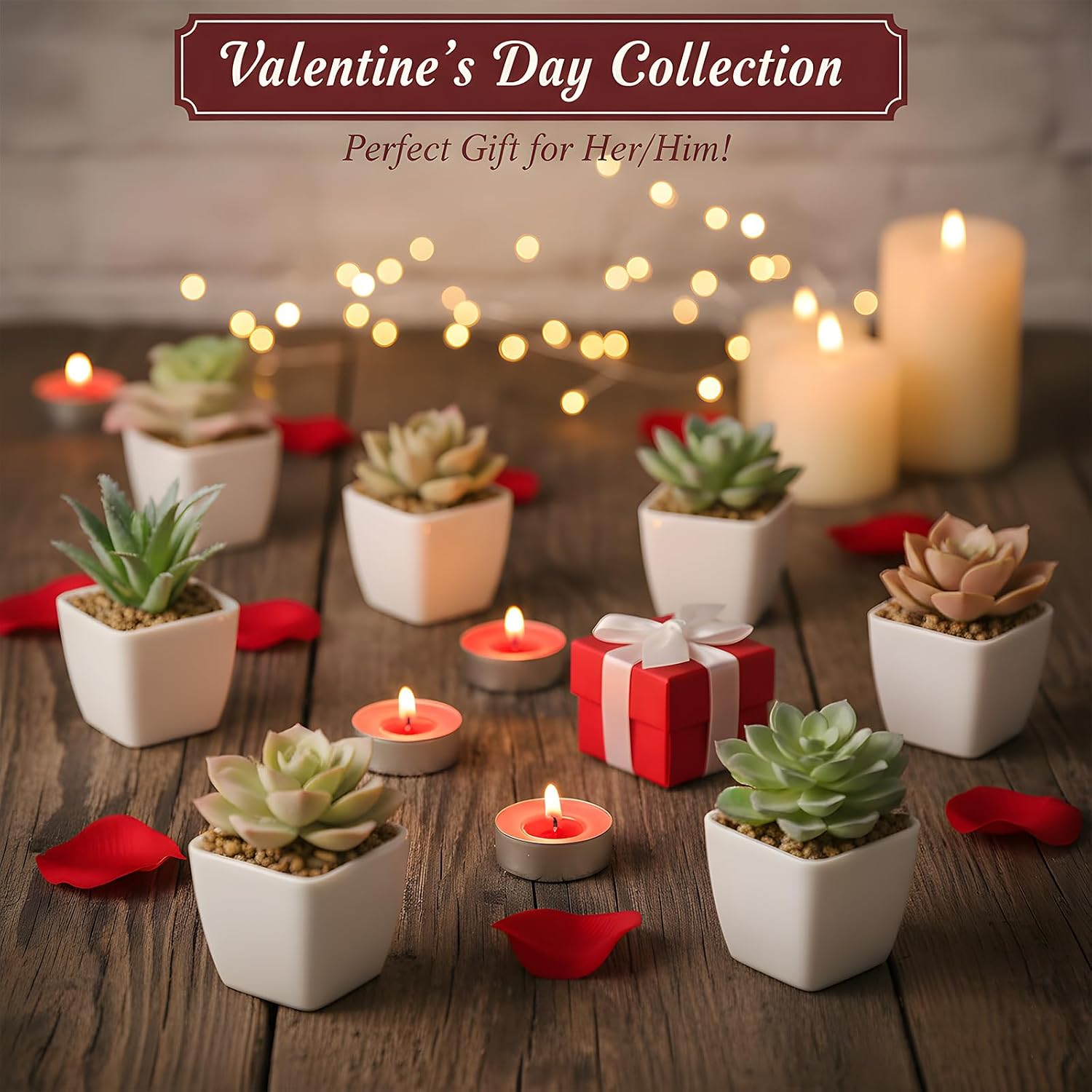Artificial Faux Succulents in Pots Fake Plants Plastic Arrangement Planter / White-24 / Set of 24