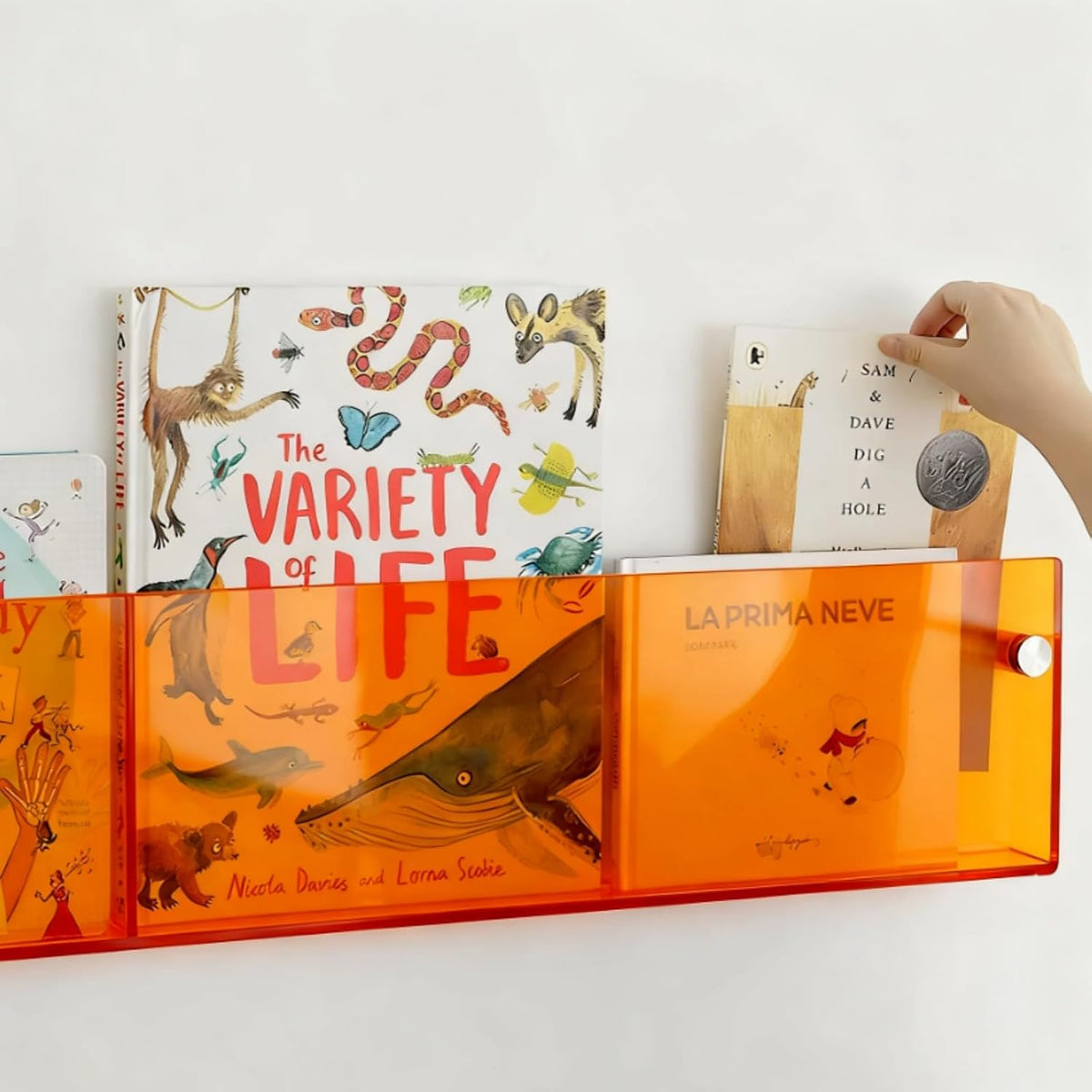 ROYALITA 2-Pack Acrylic Magazine Holder Brochure Holder, Orange 36 Inch | Record Magazine Rack, Fashion Floating