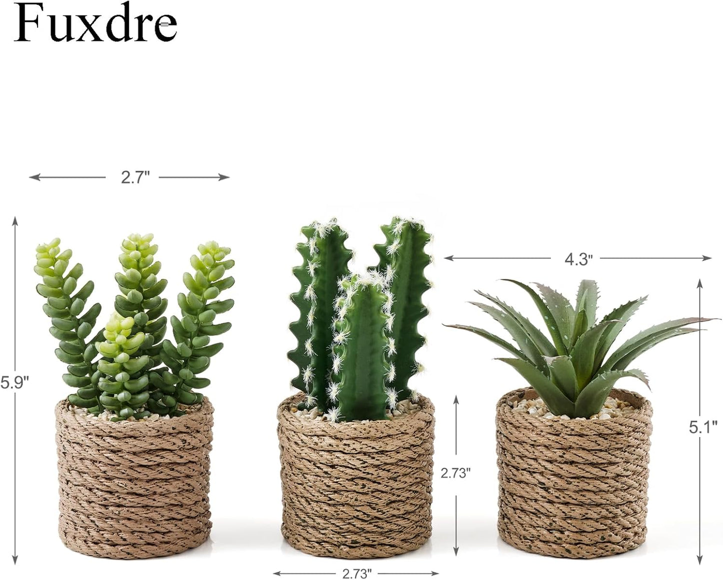 Artificial Succulent Plants in Vintage Plastic Pots / Succulent-d / Set of 3
