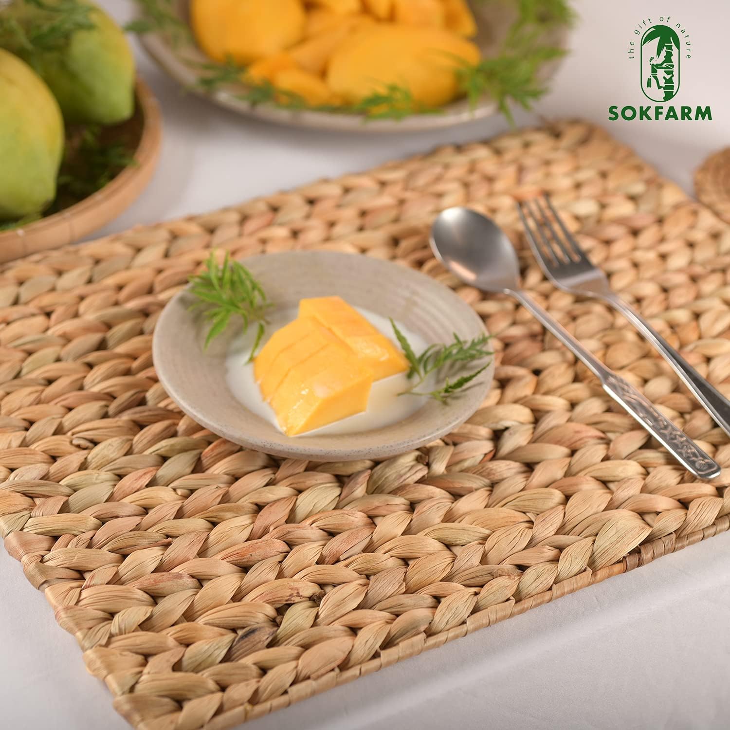 Water Hyacinth Rectangular Placemats Set of 8, Woven Rattan Placemats for Dining Table, Heat Resistant Wicker Table