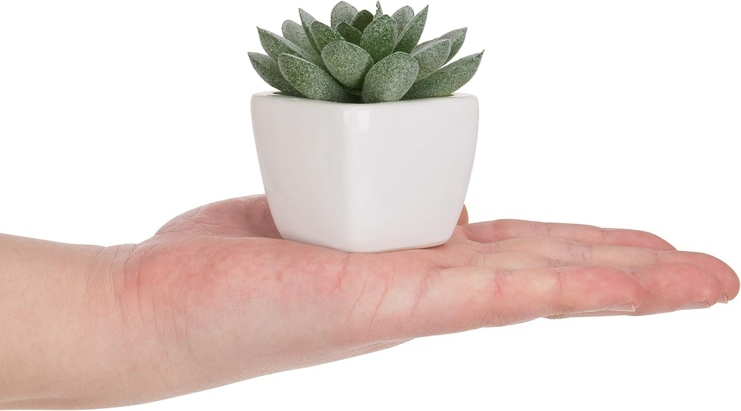 Mini Assorted Decorative Artificial Succulent Plants in Square / Assortment #3 / Green / Set of 4