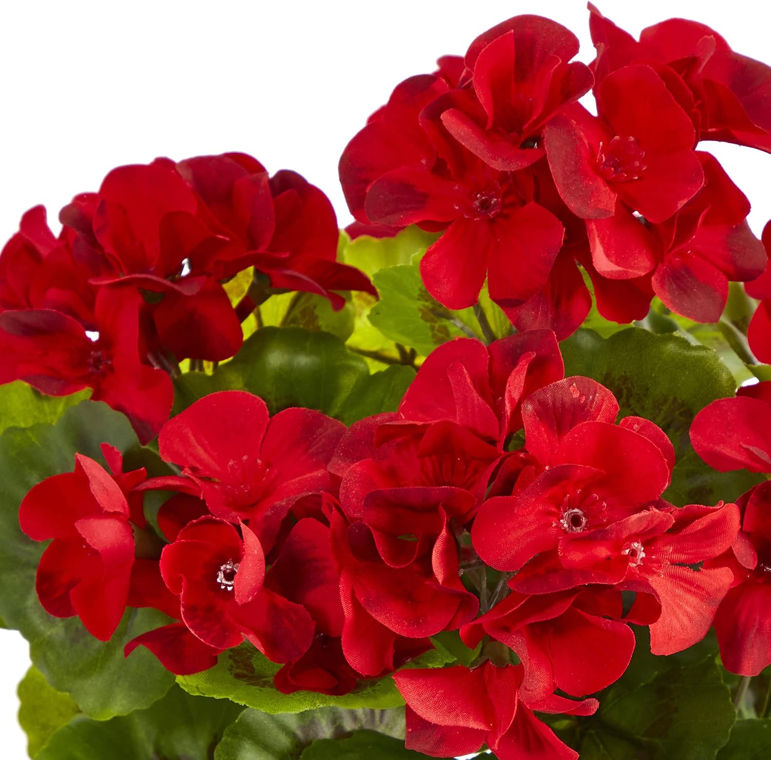 . Geranium Artificial Plant in Ceramic Planter UV Resistant / Red / 11 Inch