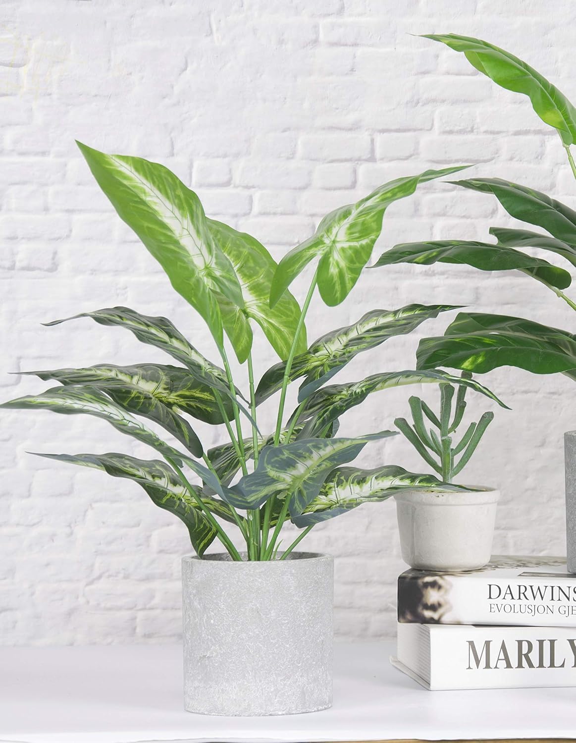 Der Rose 16" Small Fake Plants Artificial Tropical Faux Plants Indoor