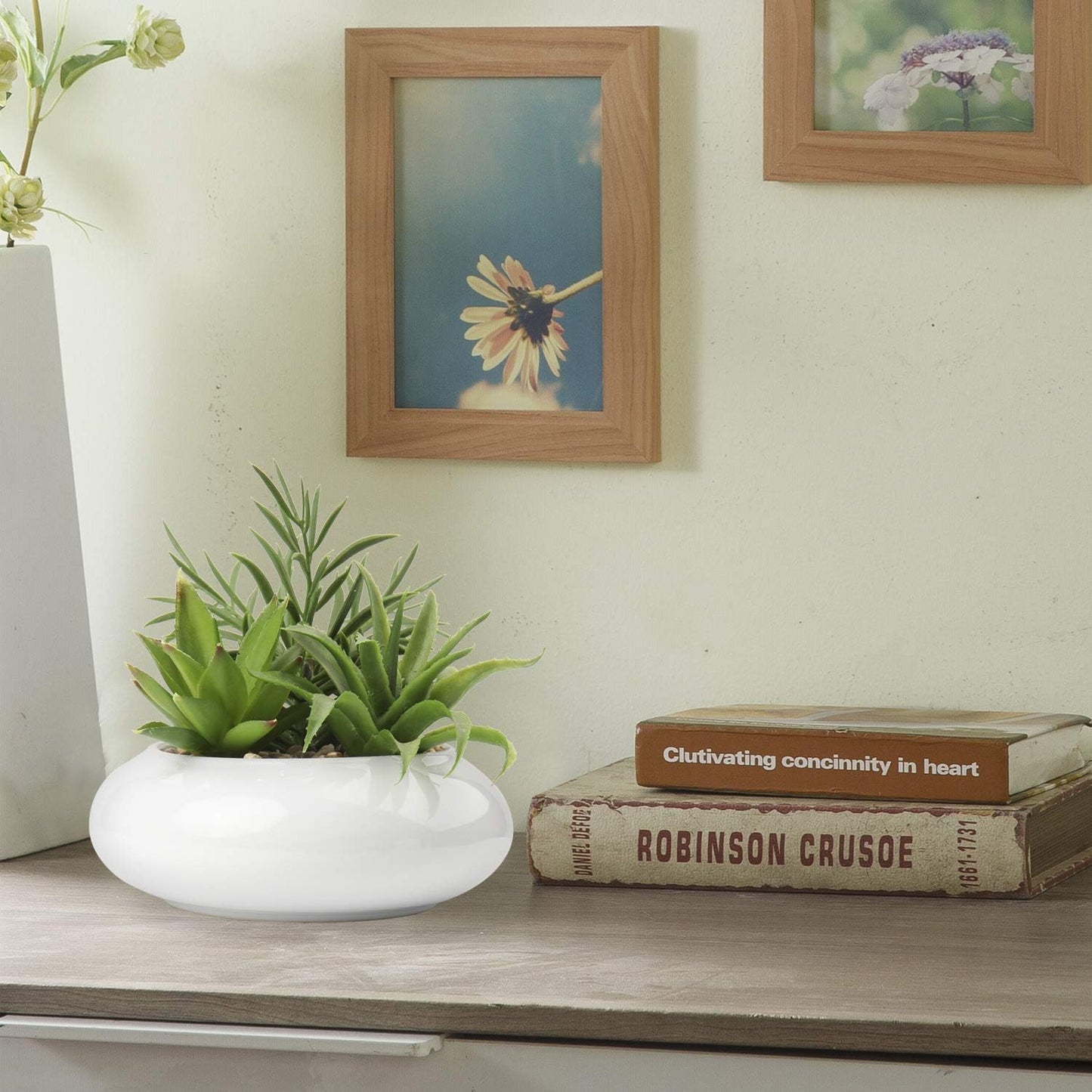 Large Artificial Succulents Plants Faux Succulents in Pots Fake Succulent Plastic / White Ceramic