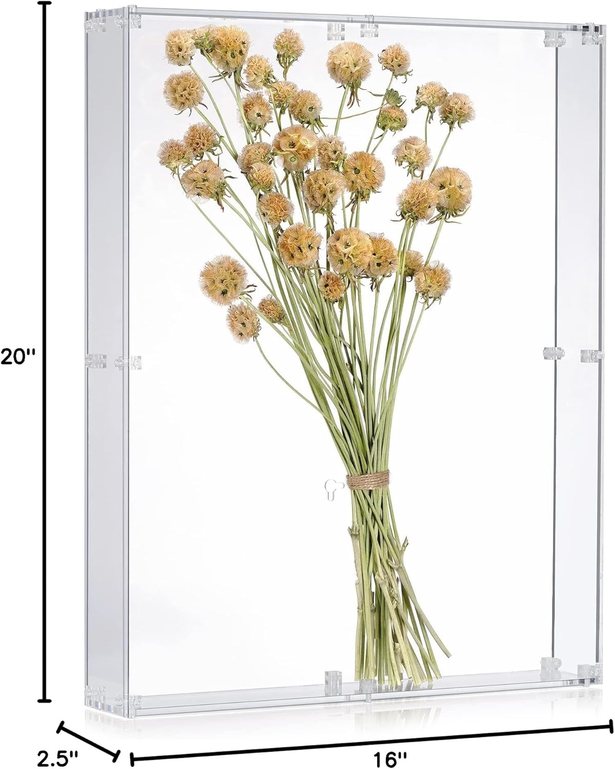 16x20 Acrylic Shadow Box, Assemble Display Case, DIY Tabletop/Wall Mount Display Frame, All Clear Memory Box for Dried