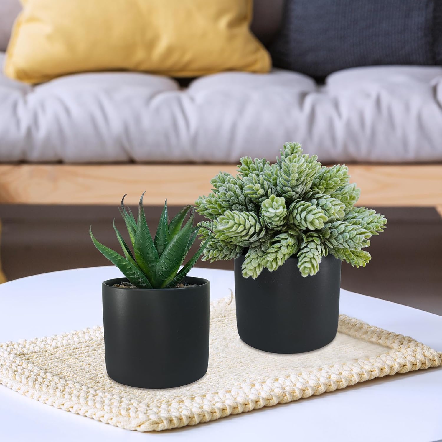 Small Artificial Potted Succulent Plants Faux Aloe Hops String / Black Ceramic Pots / Set of 3