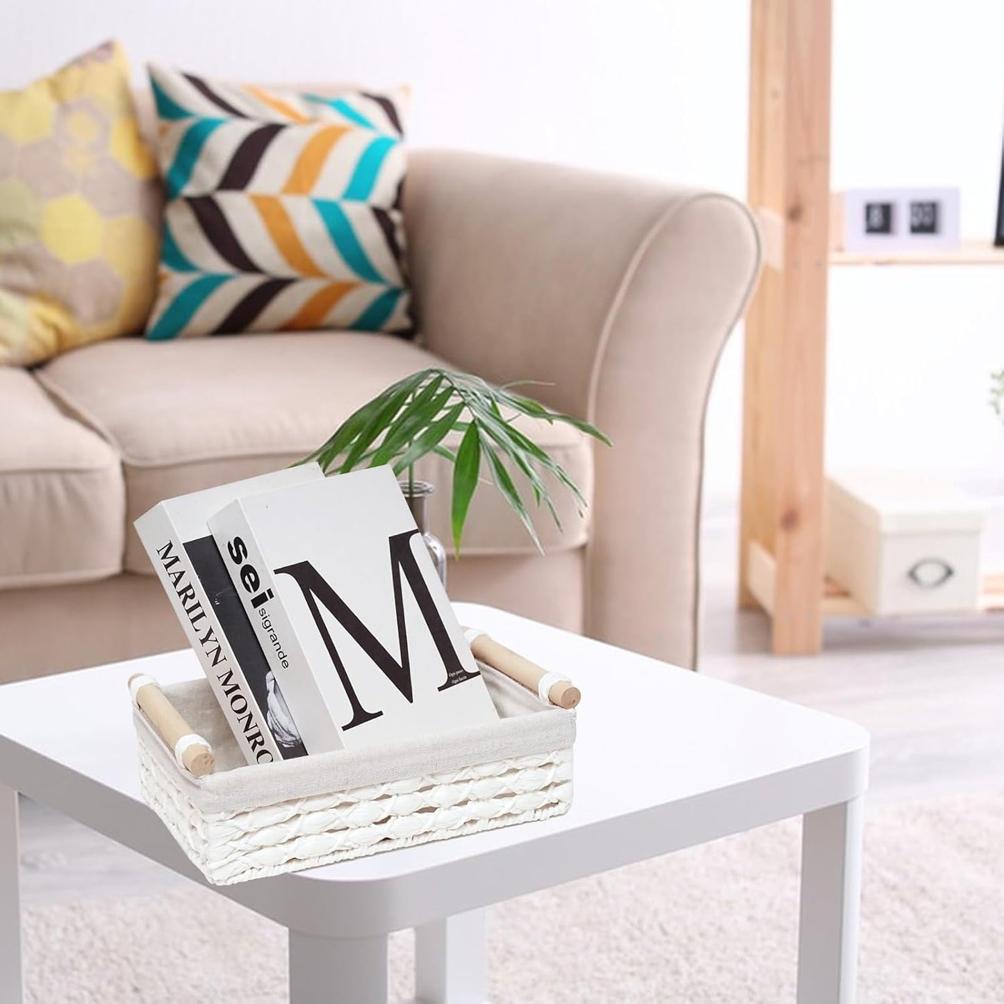 Storage Basket Wicker Baskets for Organizing / White