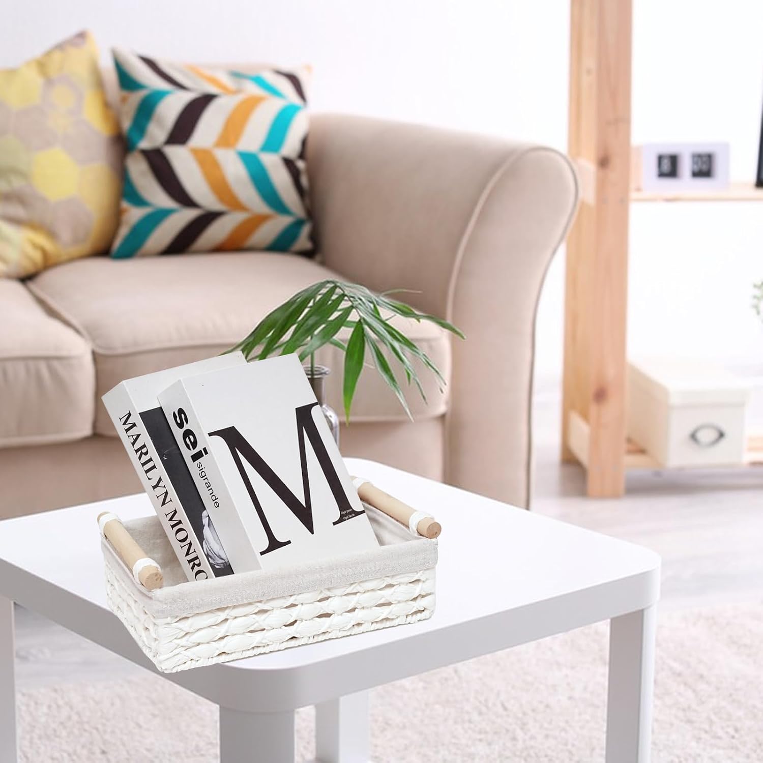 Storage Basket Wicker Baskets for Organizing / White