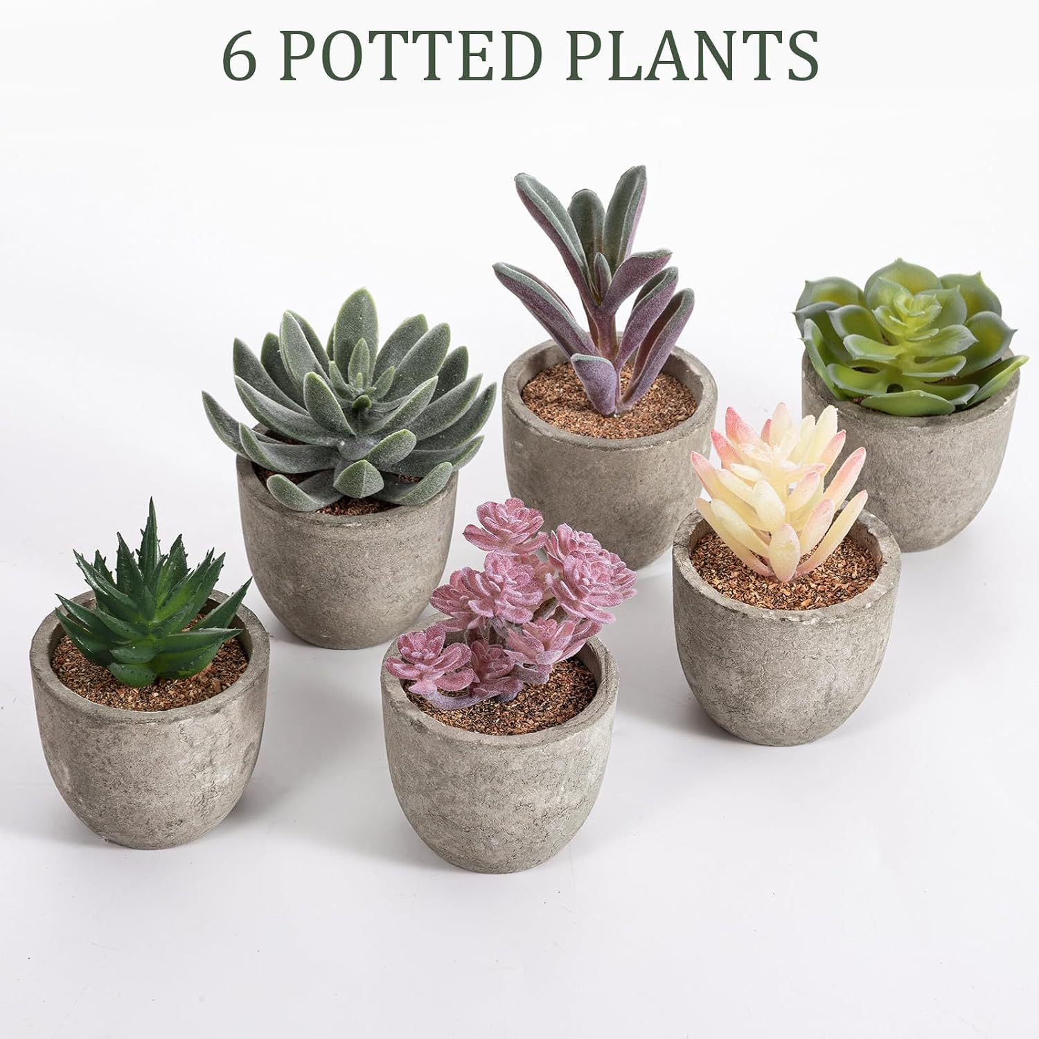 Realistic Mini Fake Cactus Plants in Paper Pulp Pots / Classic Style / Set of 6