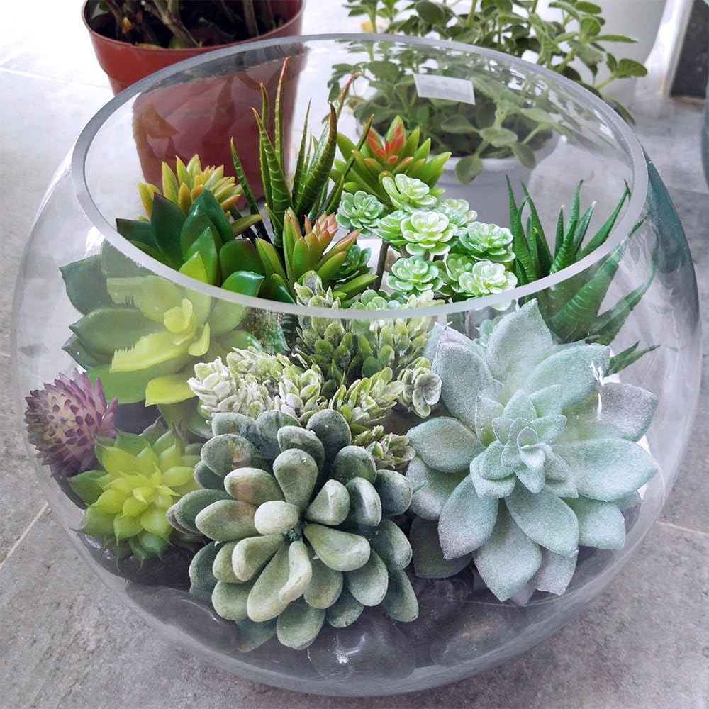 Winlyn Unpotted Fake Succulents Assorted Faux Succulent in Different Artificial / Green / Set of 6