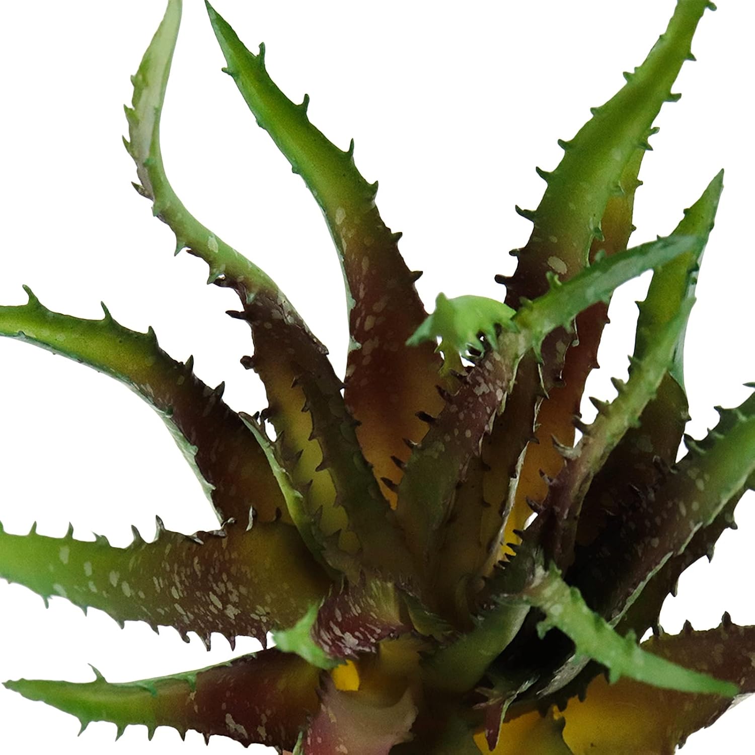 1 Piece Fake Succulent Plant Artificial Succulent Aloe Plant Realistic Texture Plastic / Green, Red
