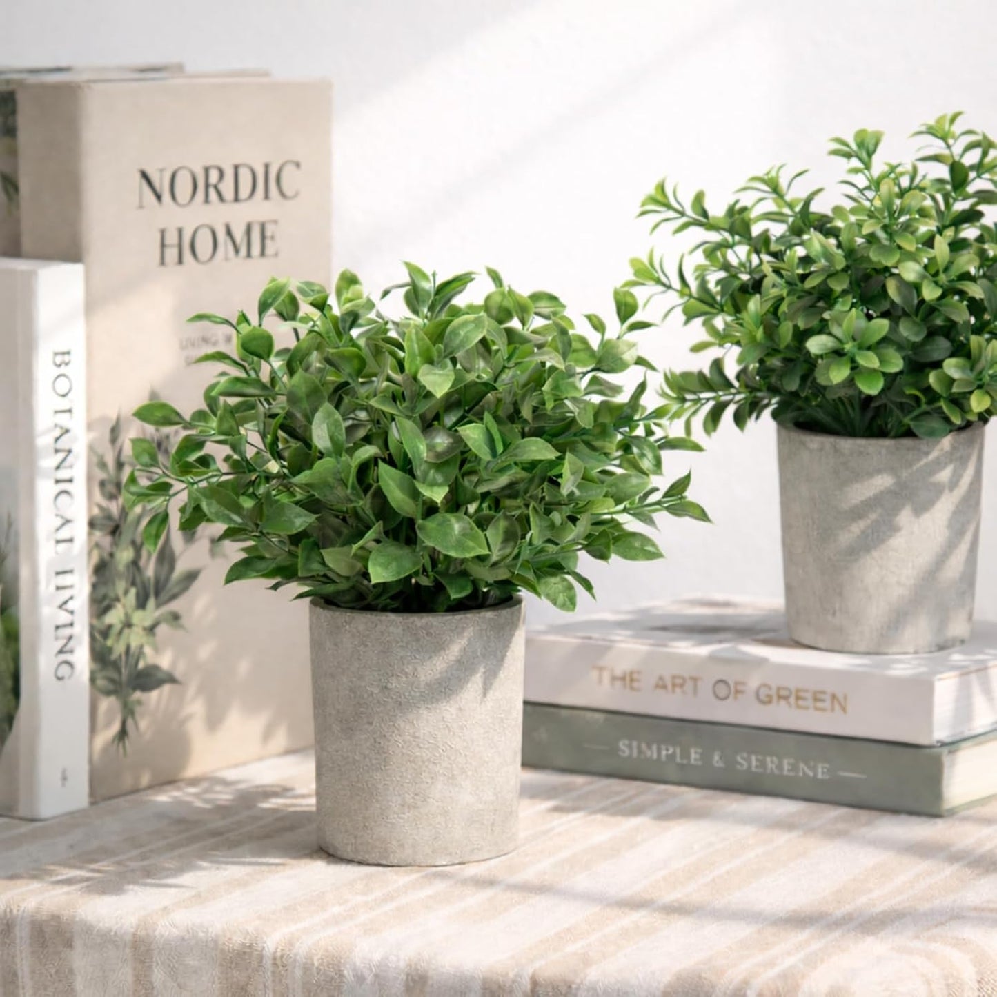 Small Plants Decor- Mini Artificial Plants / Set of 3