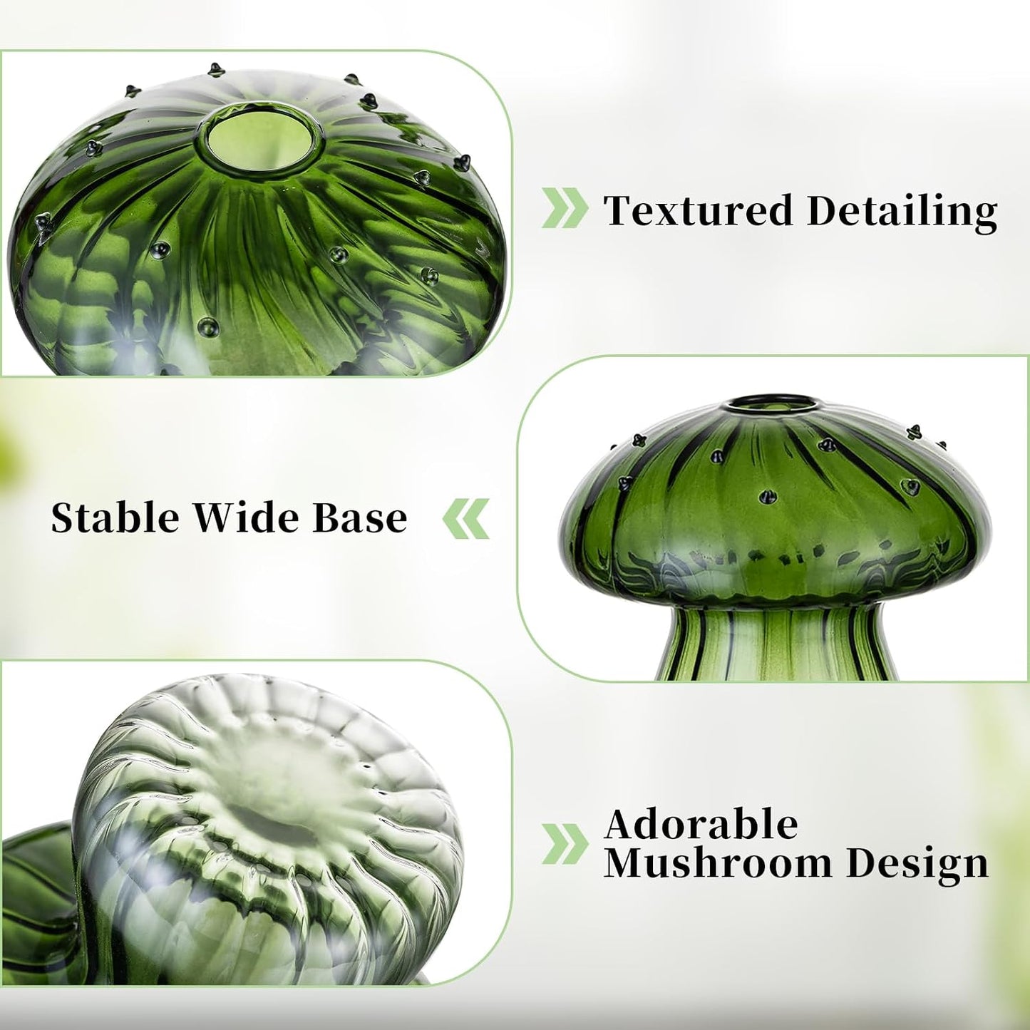 Glass Terrarium Jar Planters / Green / Set of 5