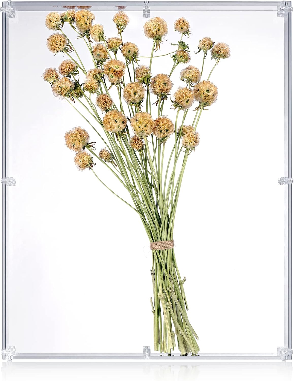 16x20 Acrylic Shadow Box, Assemble Display Case, DIY Tabletop/Wall Mount Display Frame, All Clear Memory Box for Dried